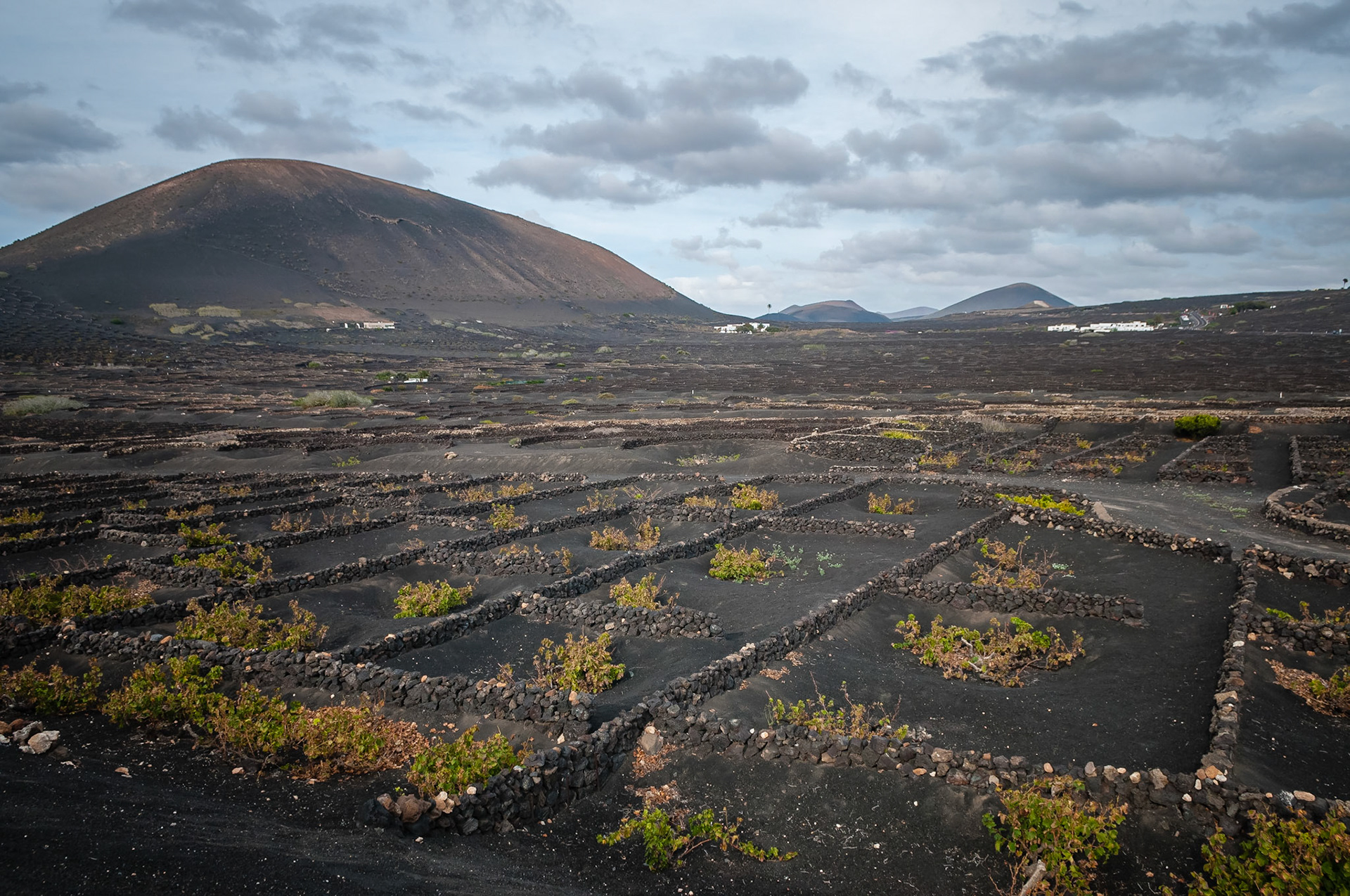 La Geria, Lanzarote