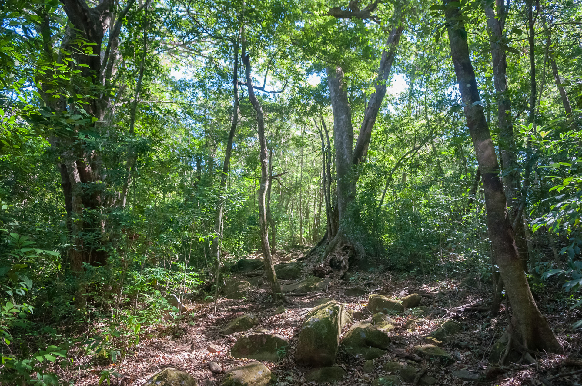 Parque National Rincon de la Vieja