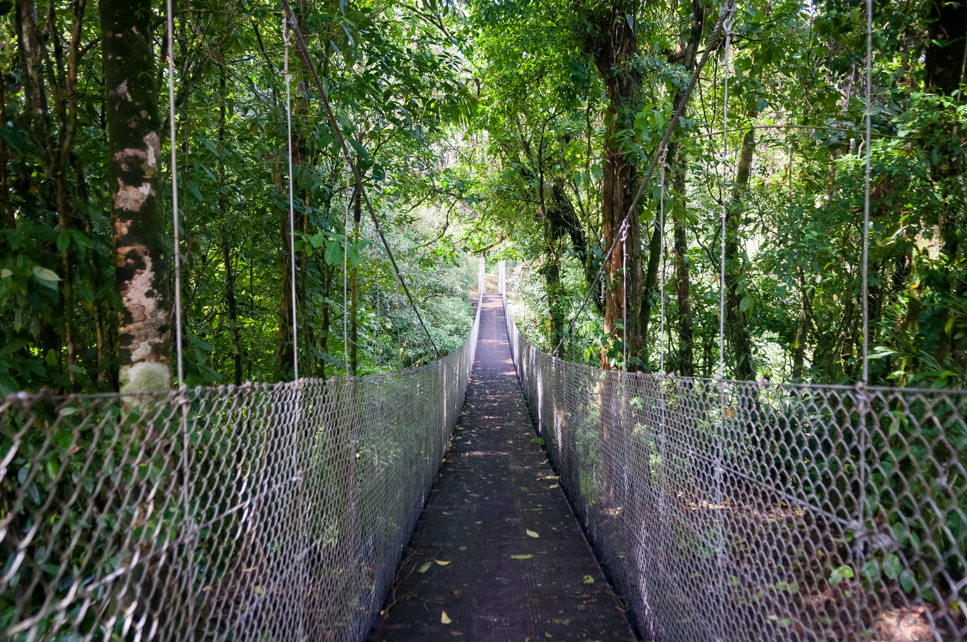 Arenal Observatory Lodge, Parque National Volcan Arenal