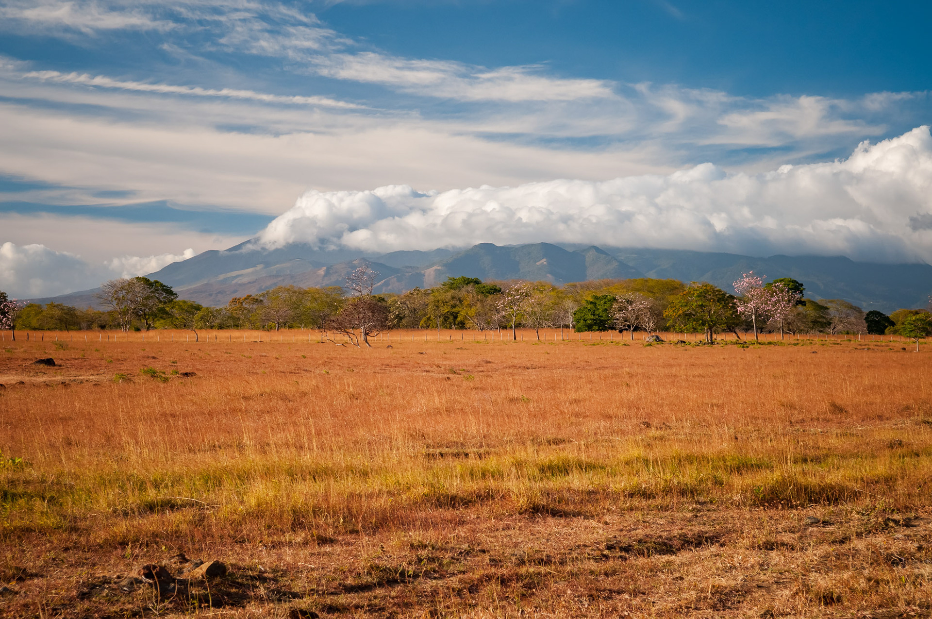 Route 6 vers Tenorio