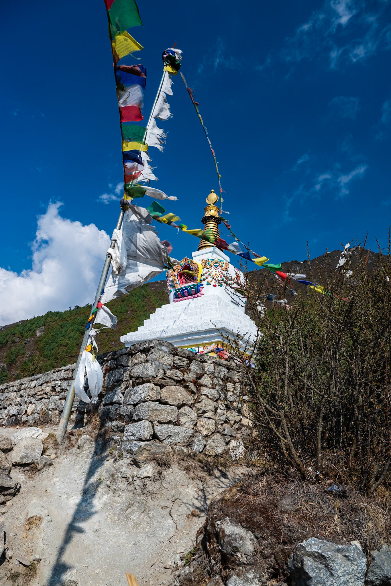 Day 4 - Namche Bazaar (3'446 m) to Dole (4'200 m)
