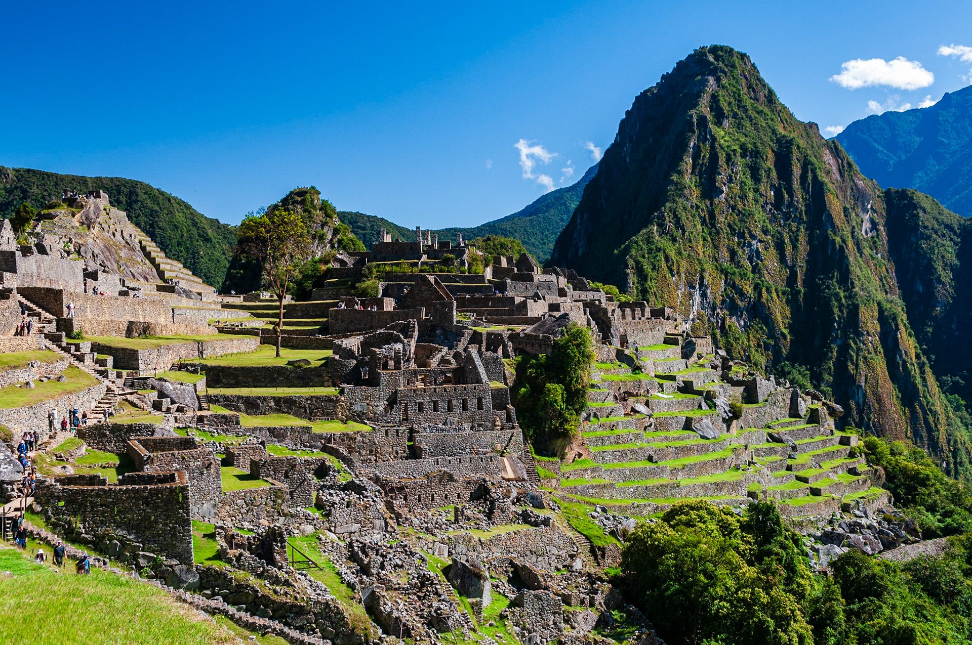Machu Picchu