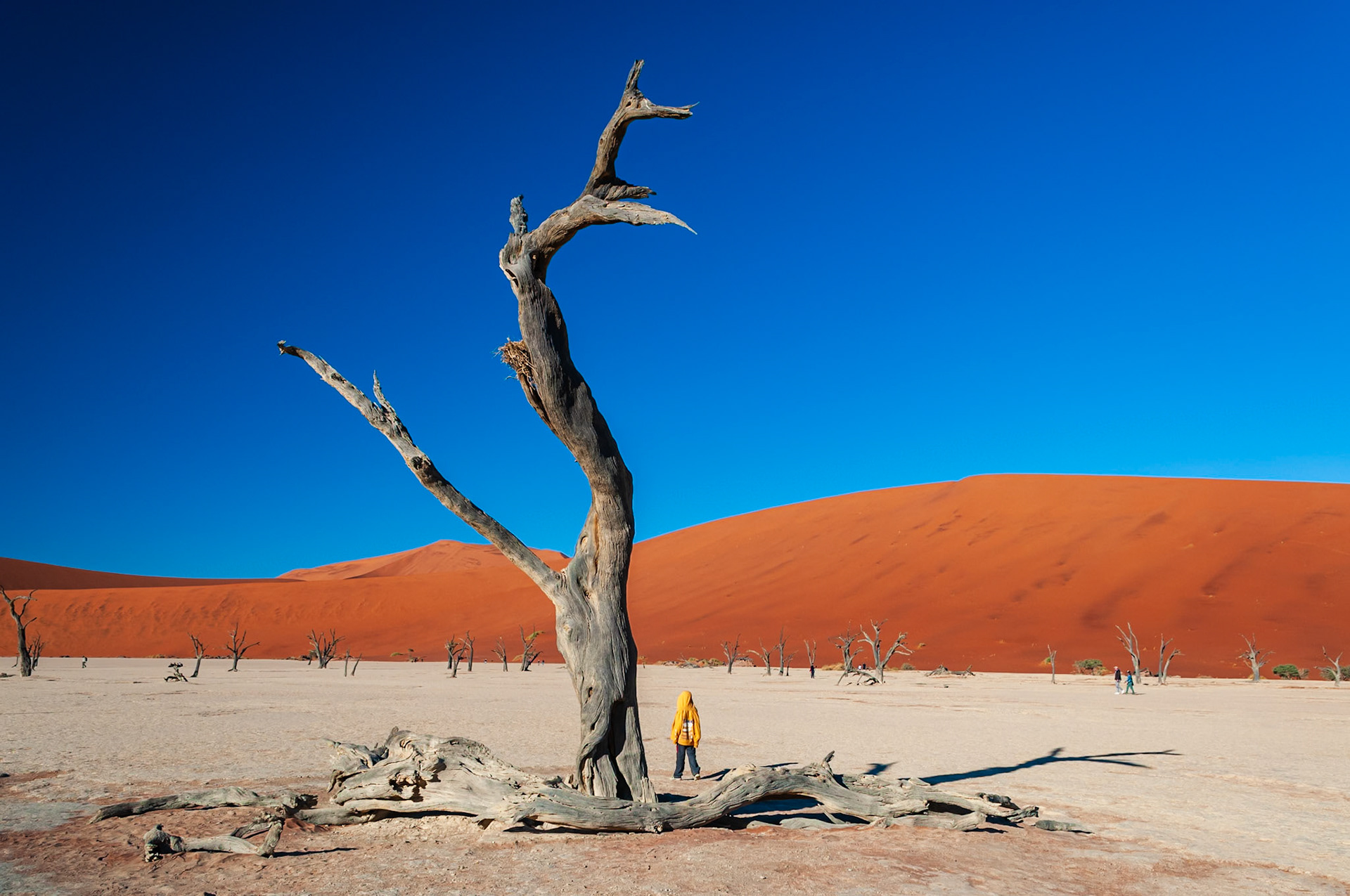 Dead Vlei, Sossusvlei