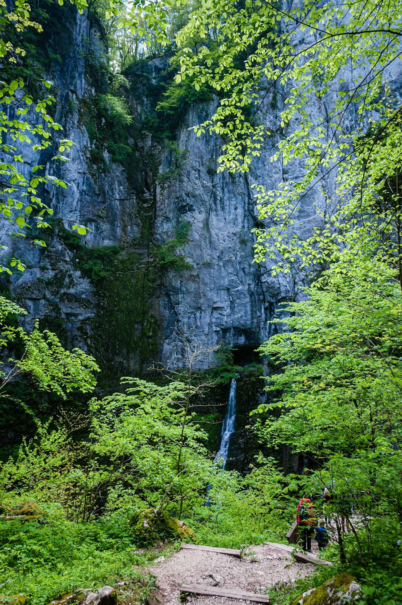 Le Creux Billard, Source du Lison, France