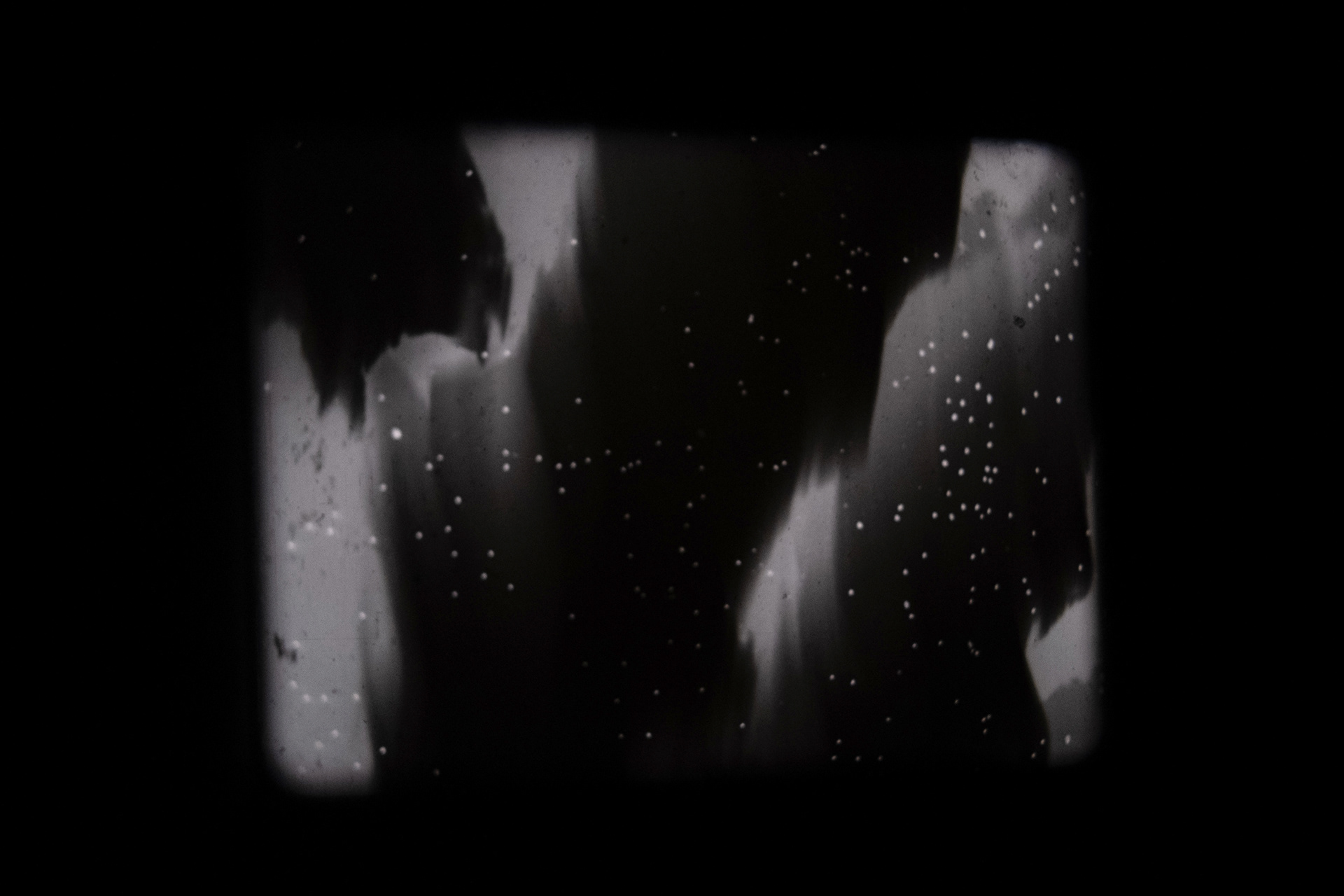 Pareidolia - Zelluloid Resistance Festival, Berlin 2025