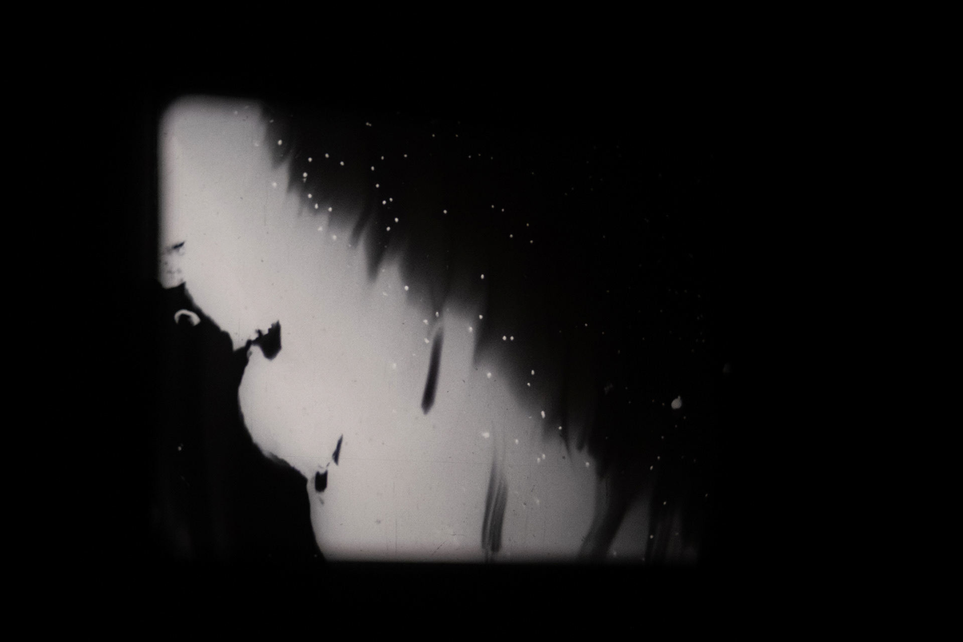 Pareidolia - Zelluloid Resistance Festival, Berlin 2025