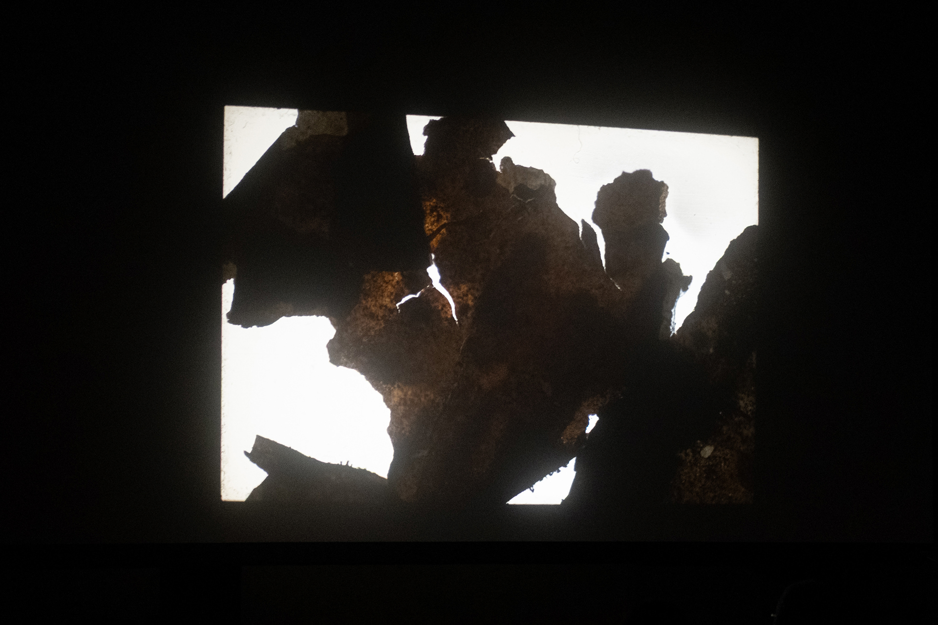 Pareidolia - Zelluloid Resistance Festival, Berlin 2025