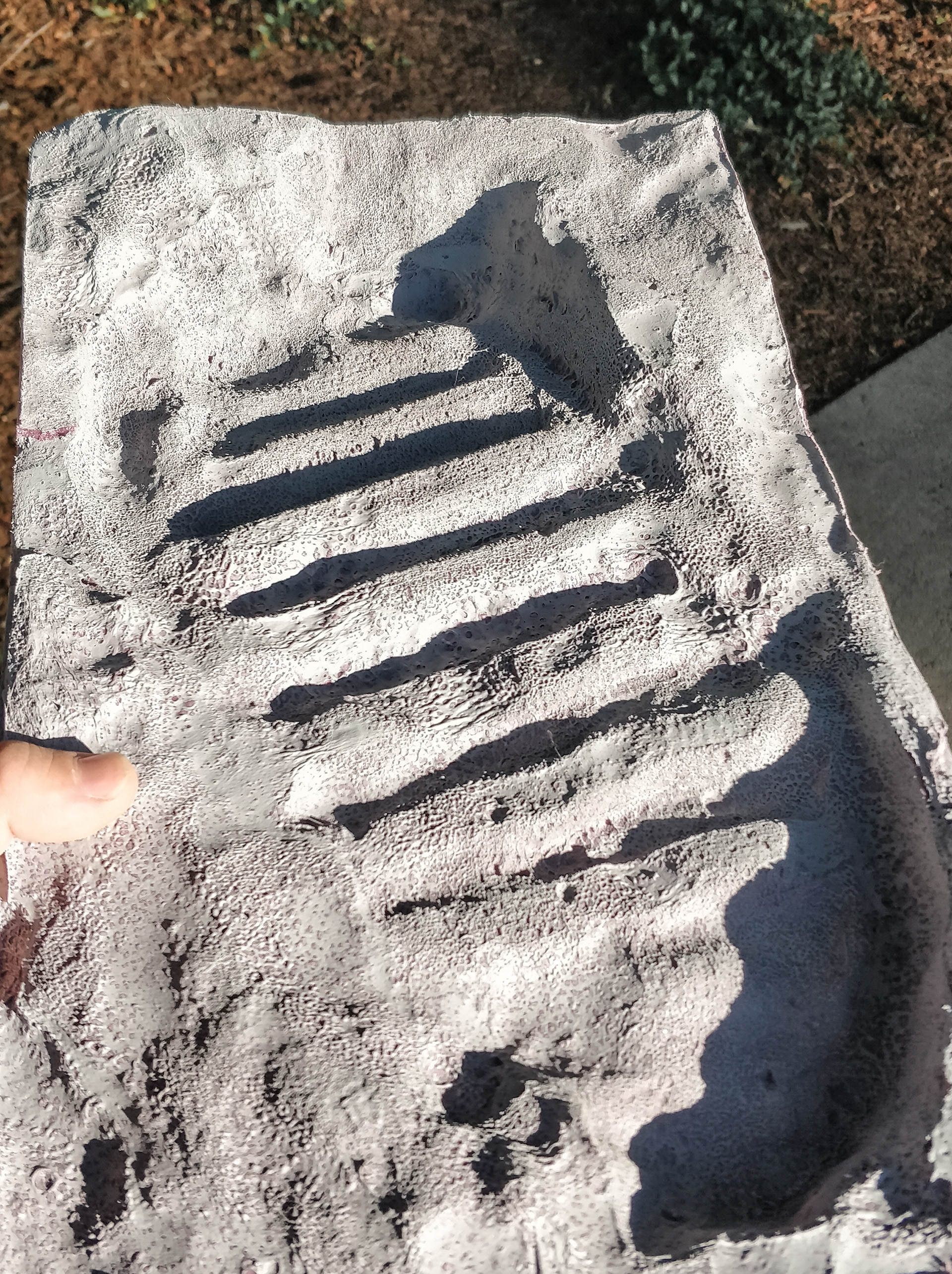 Piece in sunlight after primer.