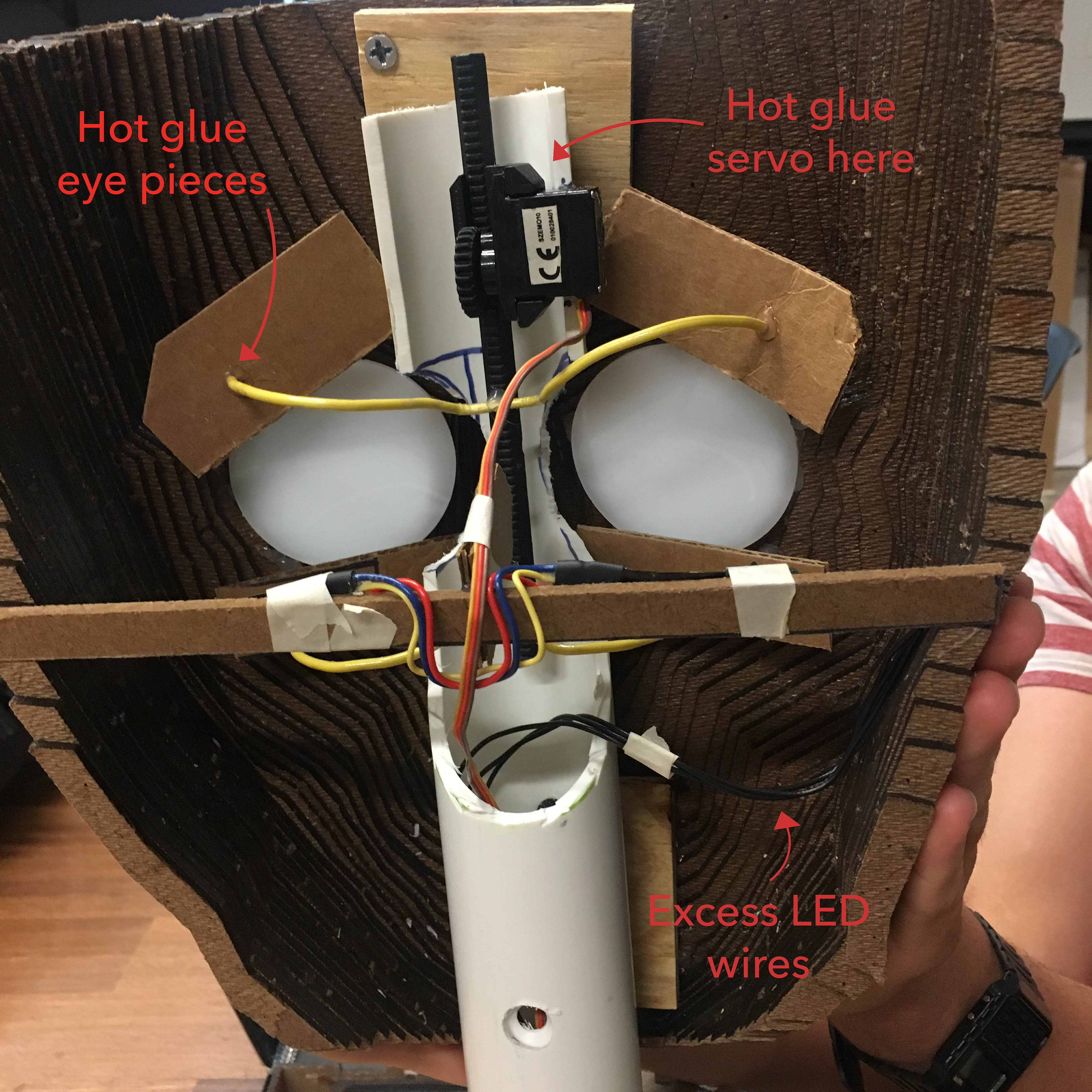 View of the eye servo.