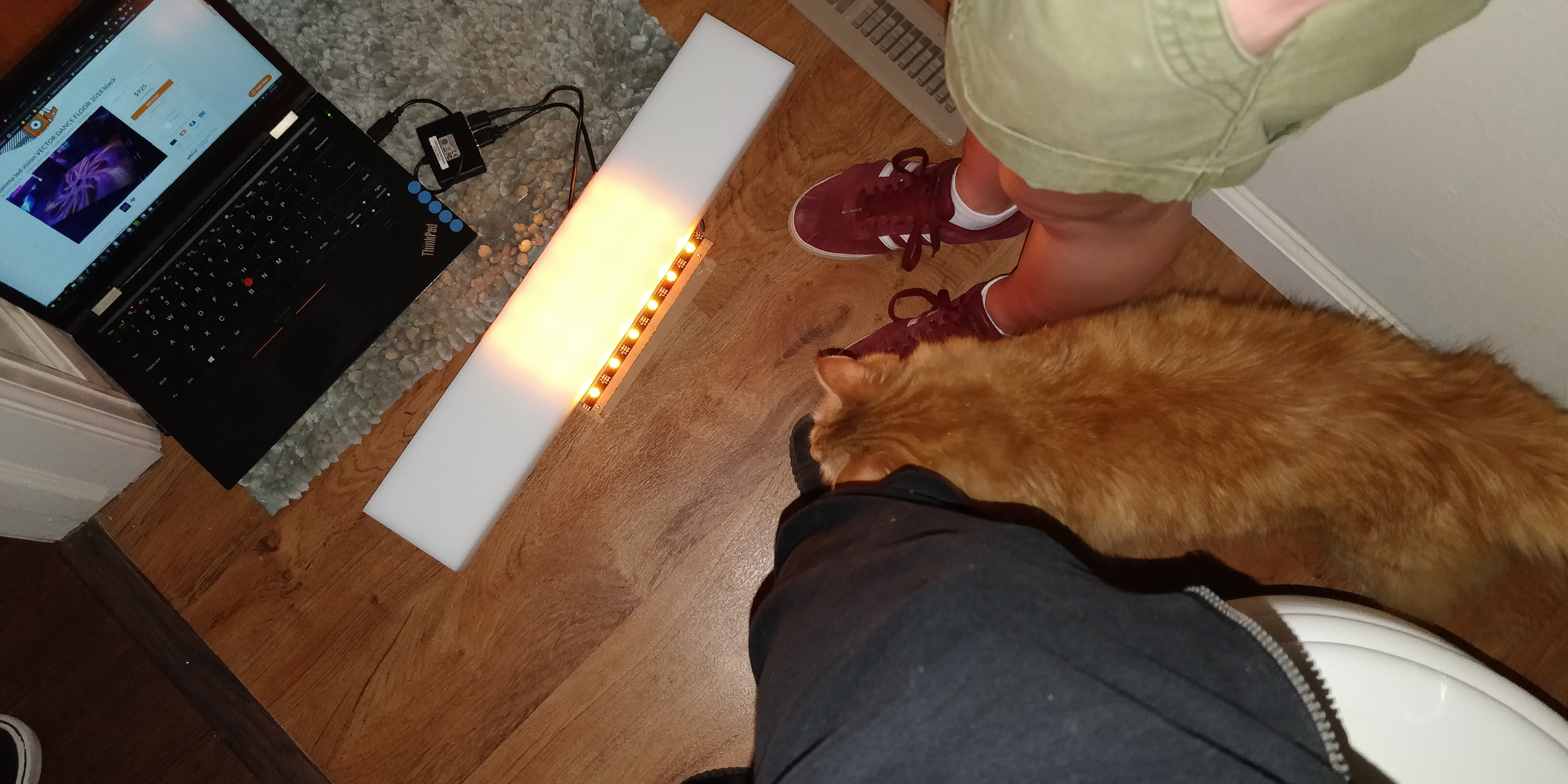Pete's cat helping us test LED diffusion.