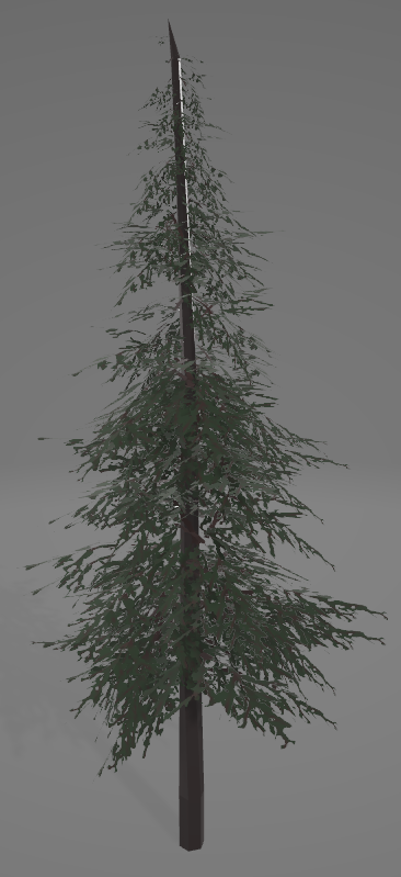 Pine Tree