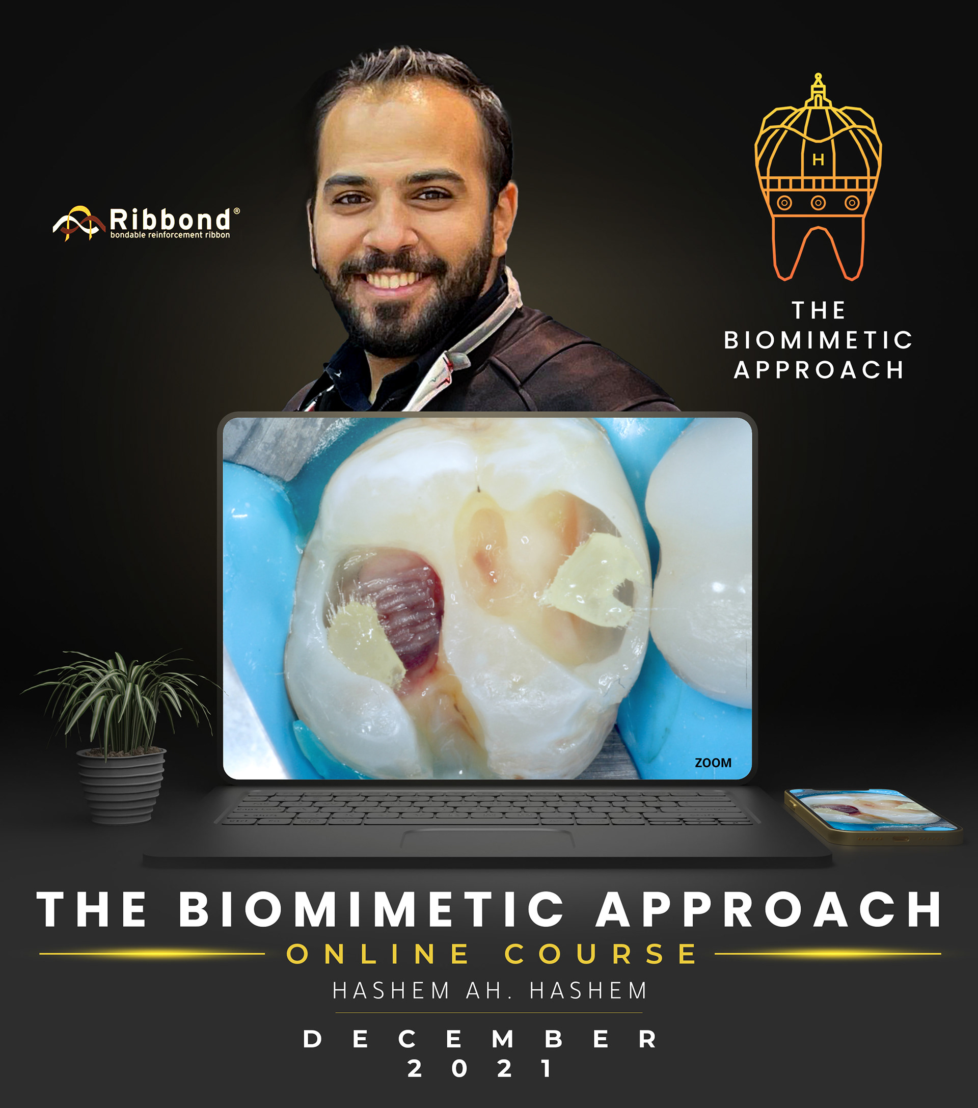 VICTOR Biomimetic Dentistry PDF