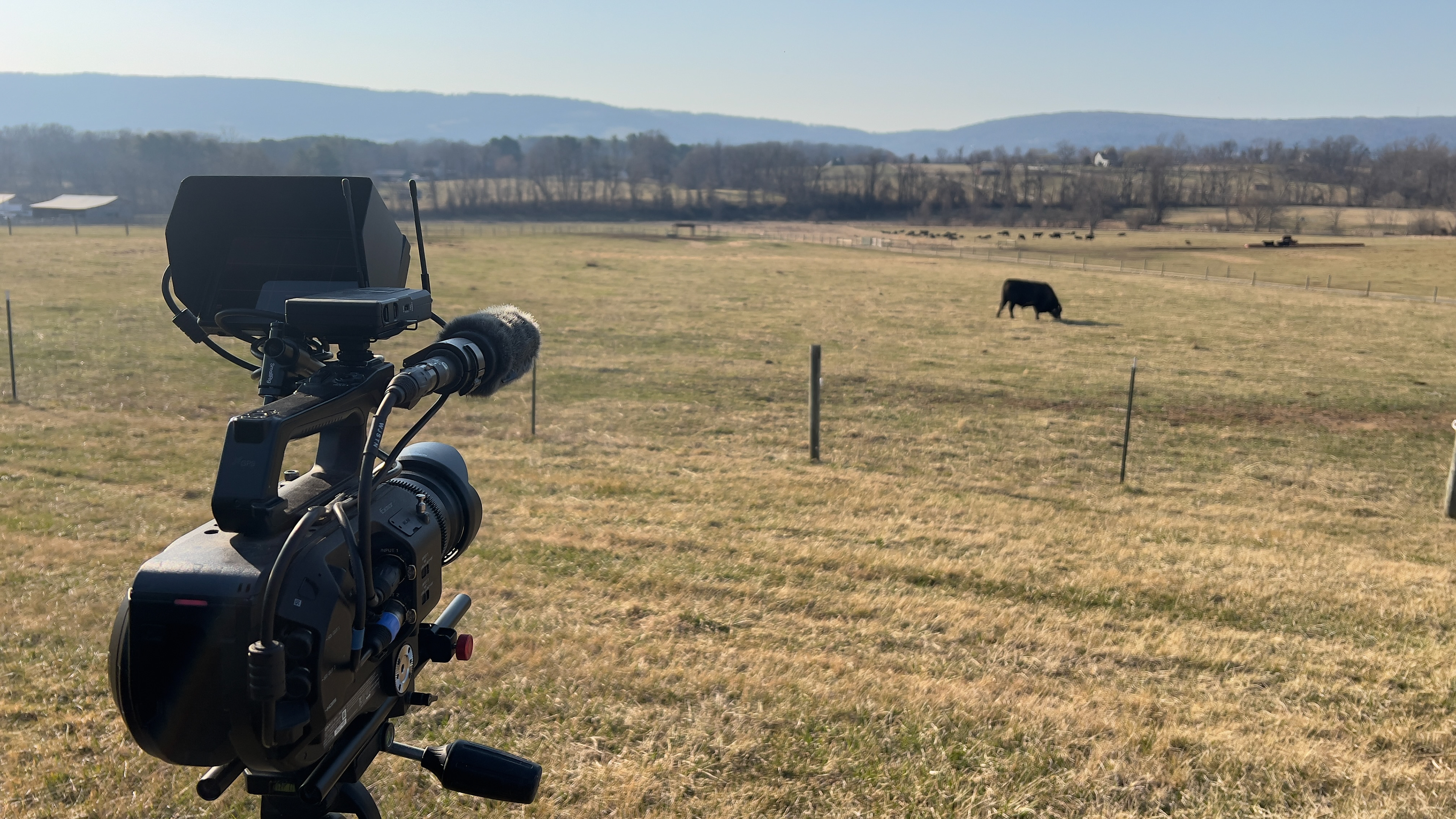 Long view of the Snickers gap with Bluemont in the distance