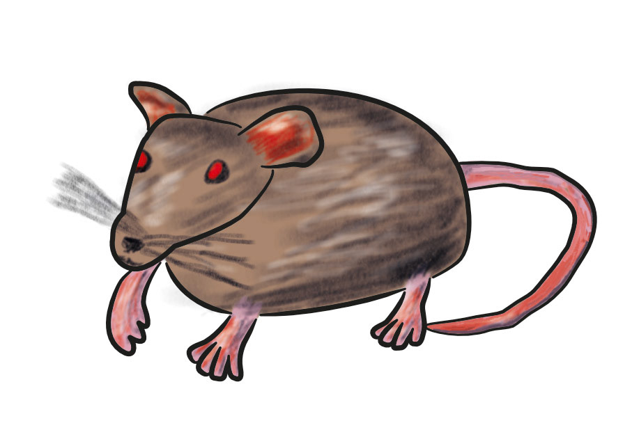 Maria die Maus