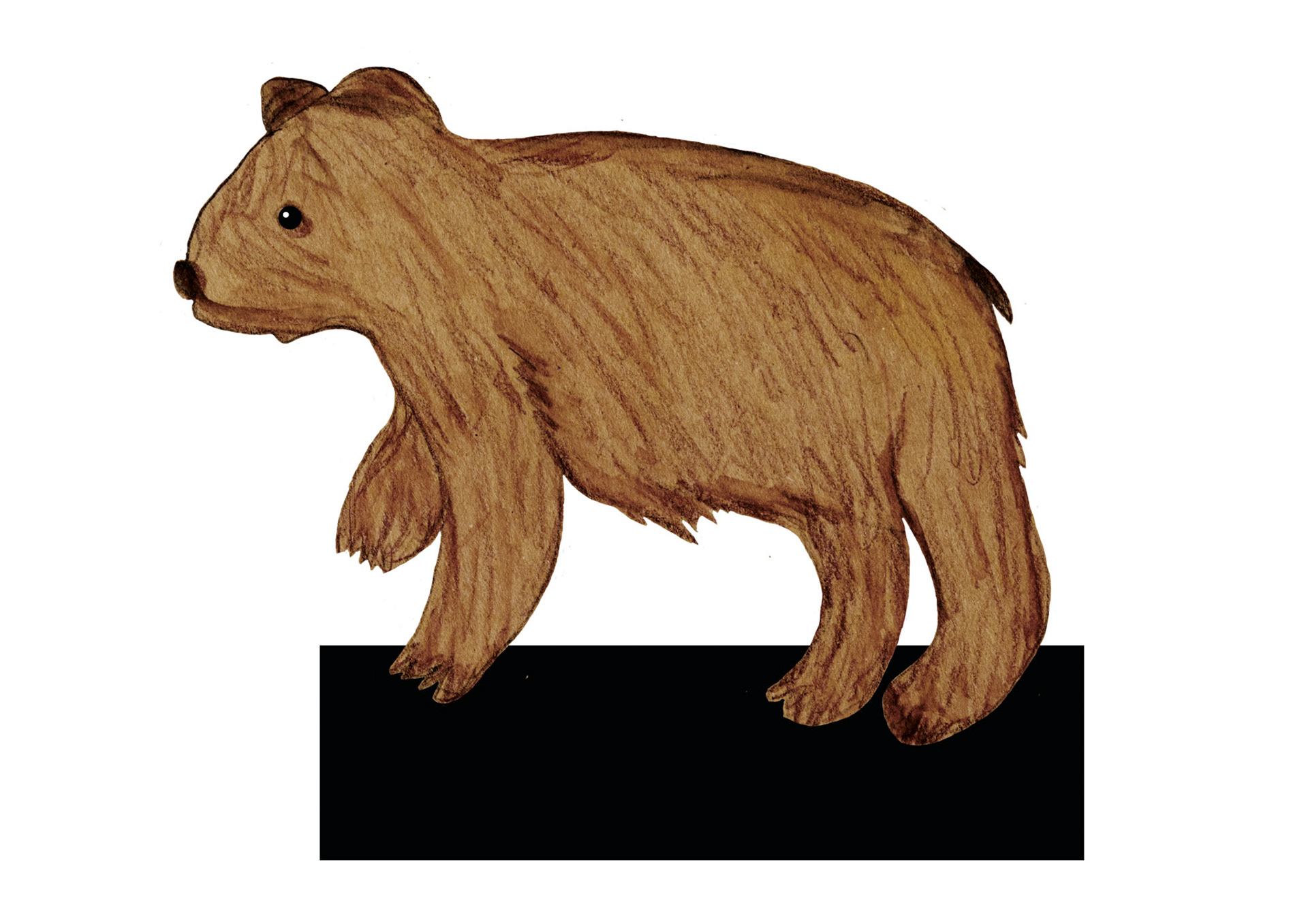 Bruno der Bär