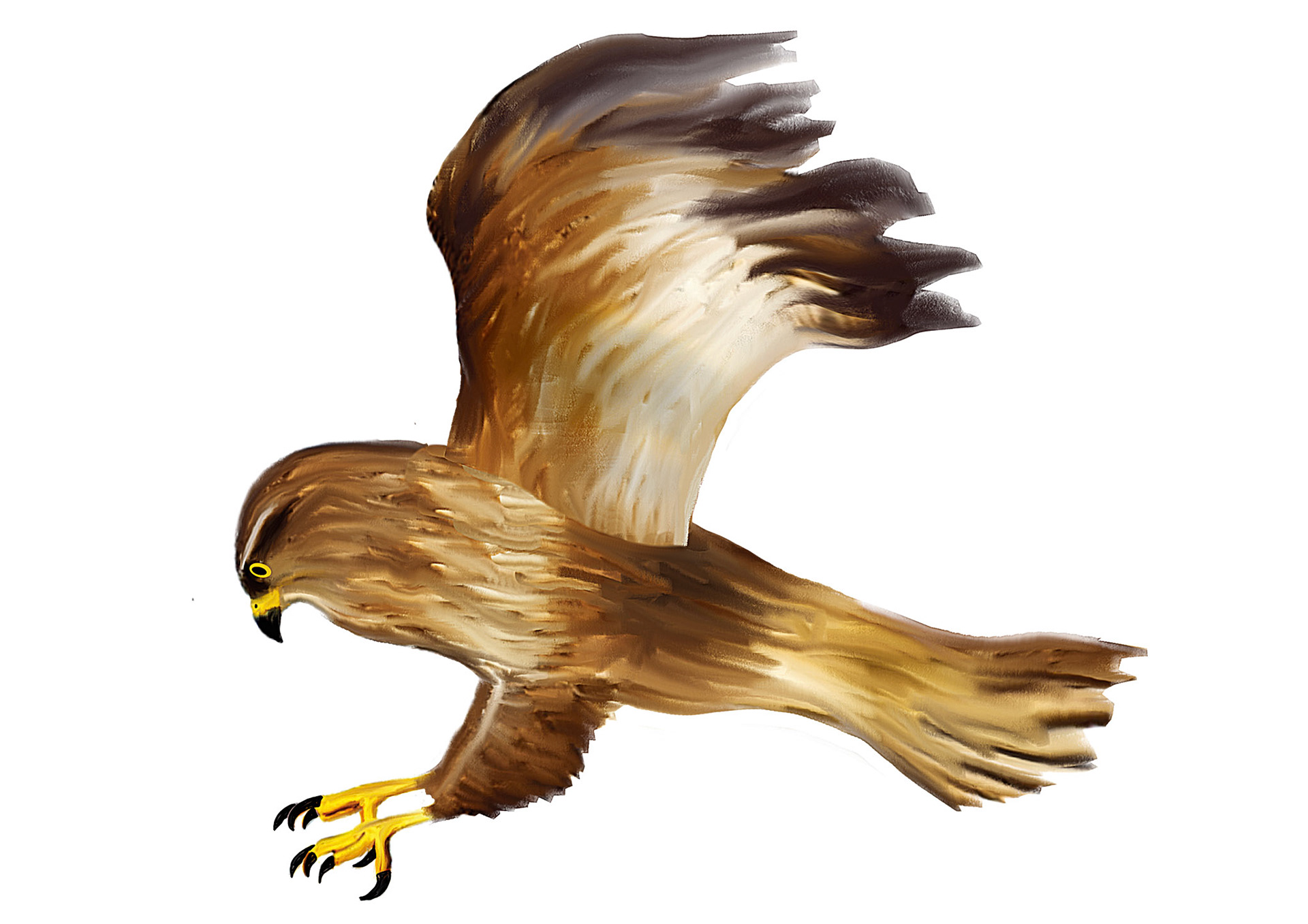 Der Vogel