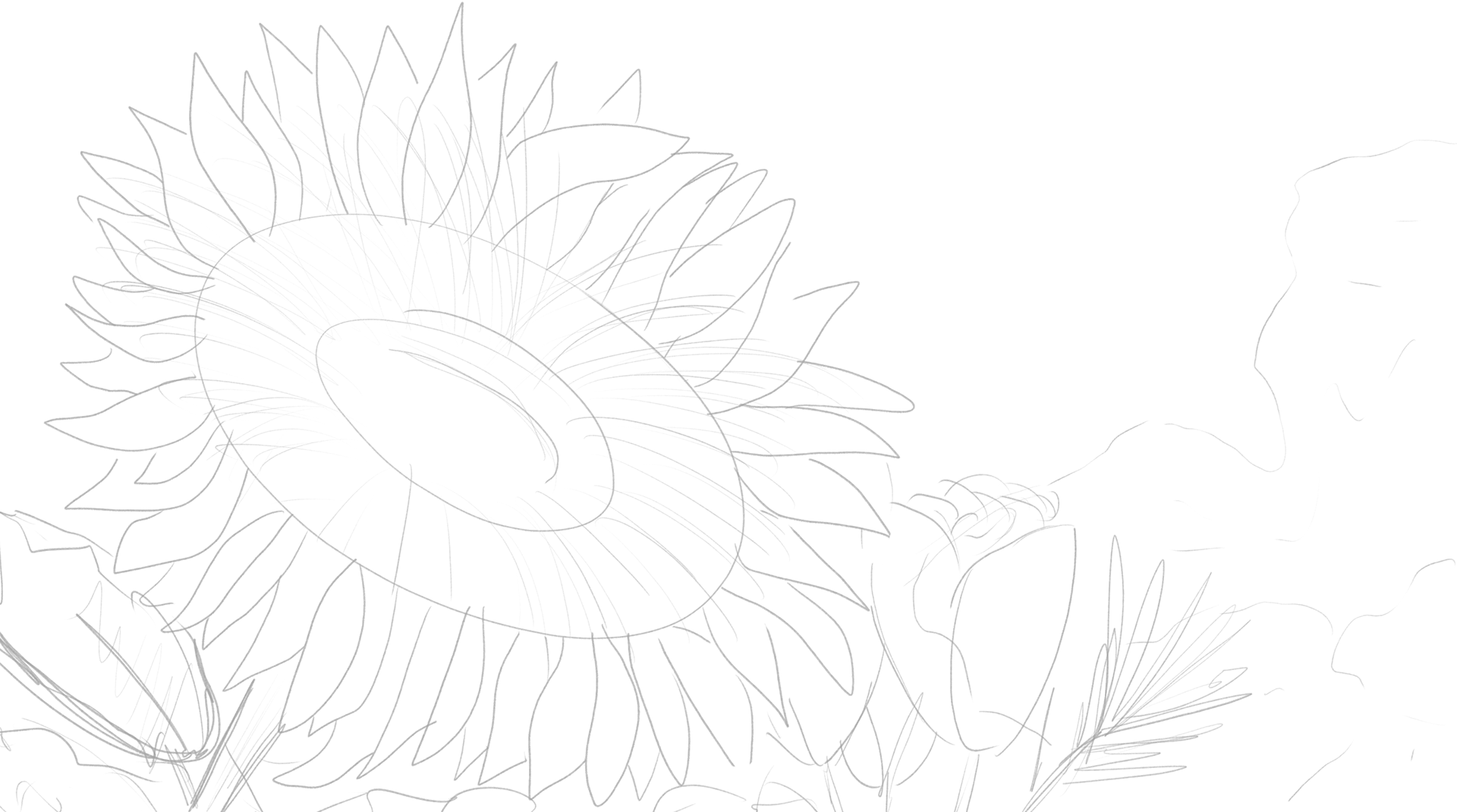 First sketches