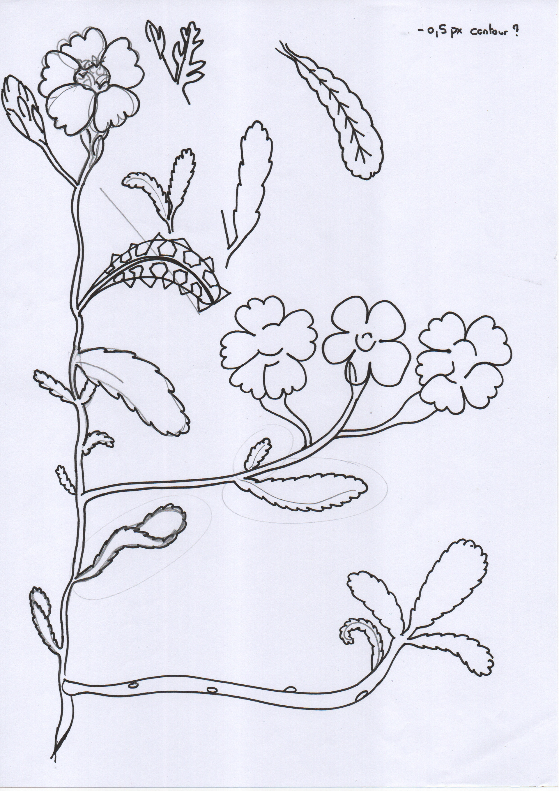 Cleaning sketches