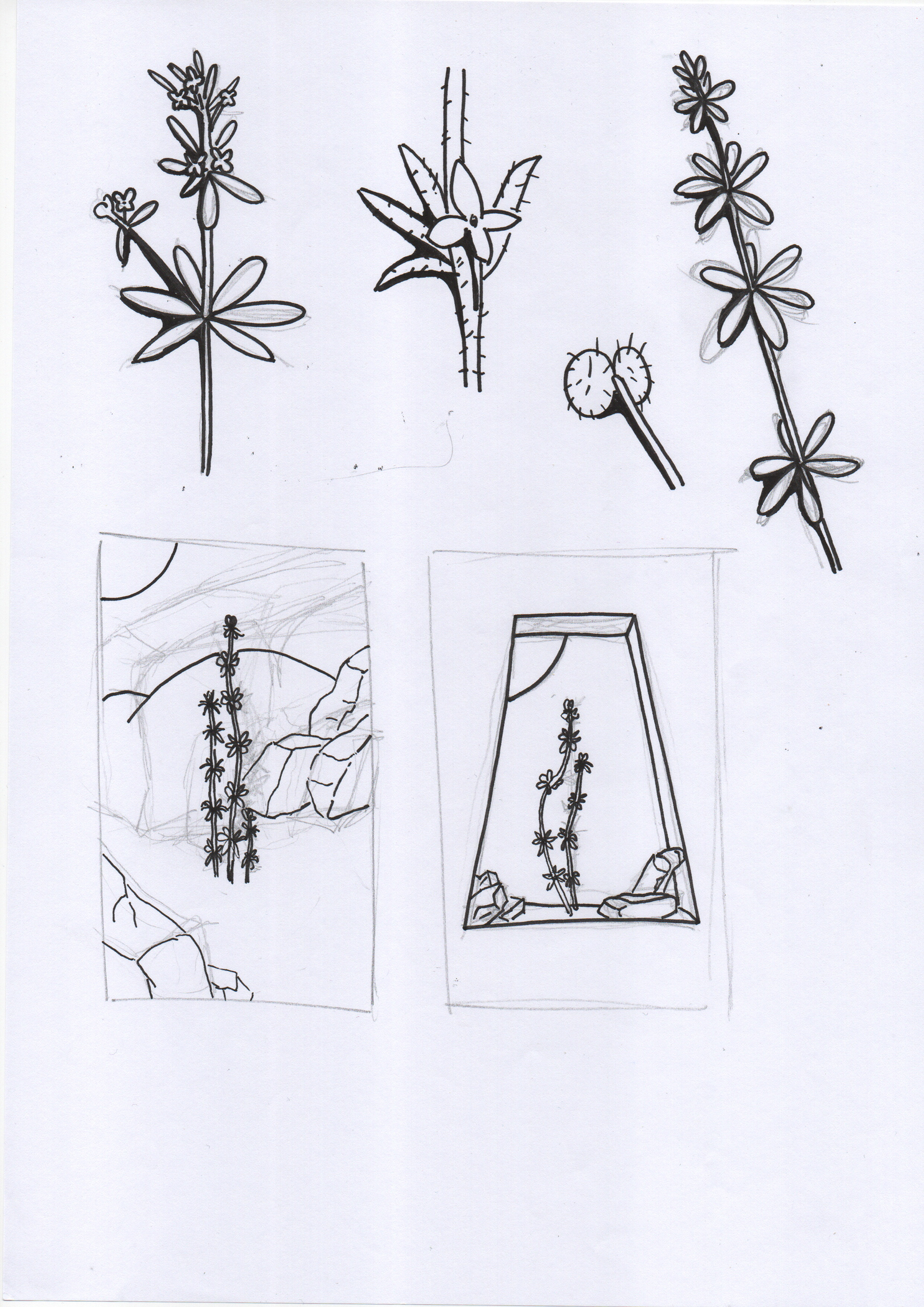 Cleaning sketches