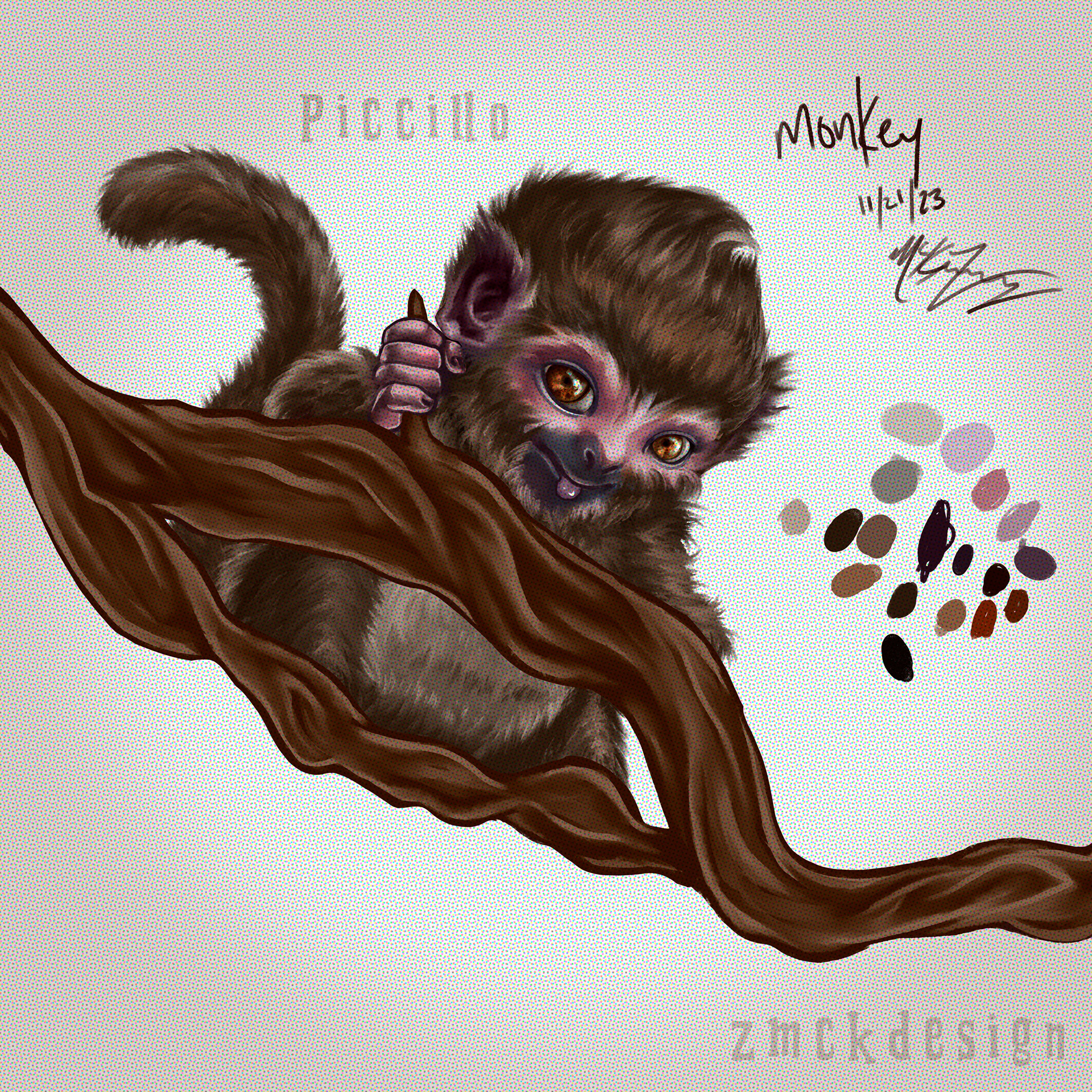 Piccillo, The Monkey. Xylo's 2nd Pet Companion.
