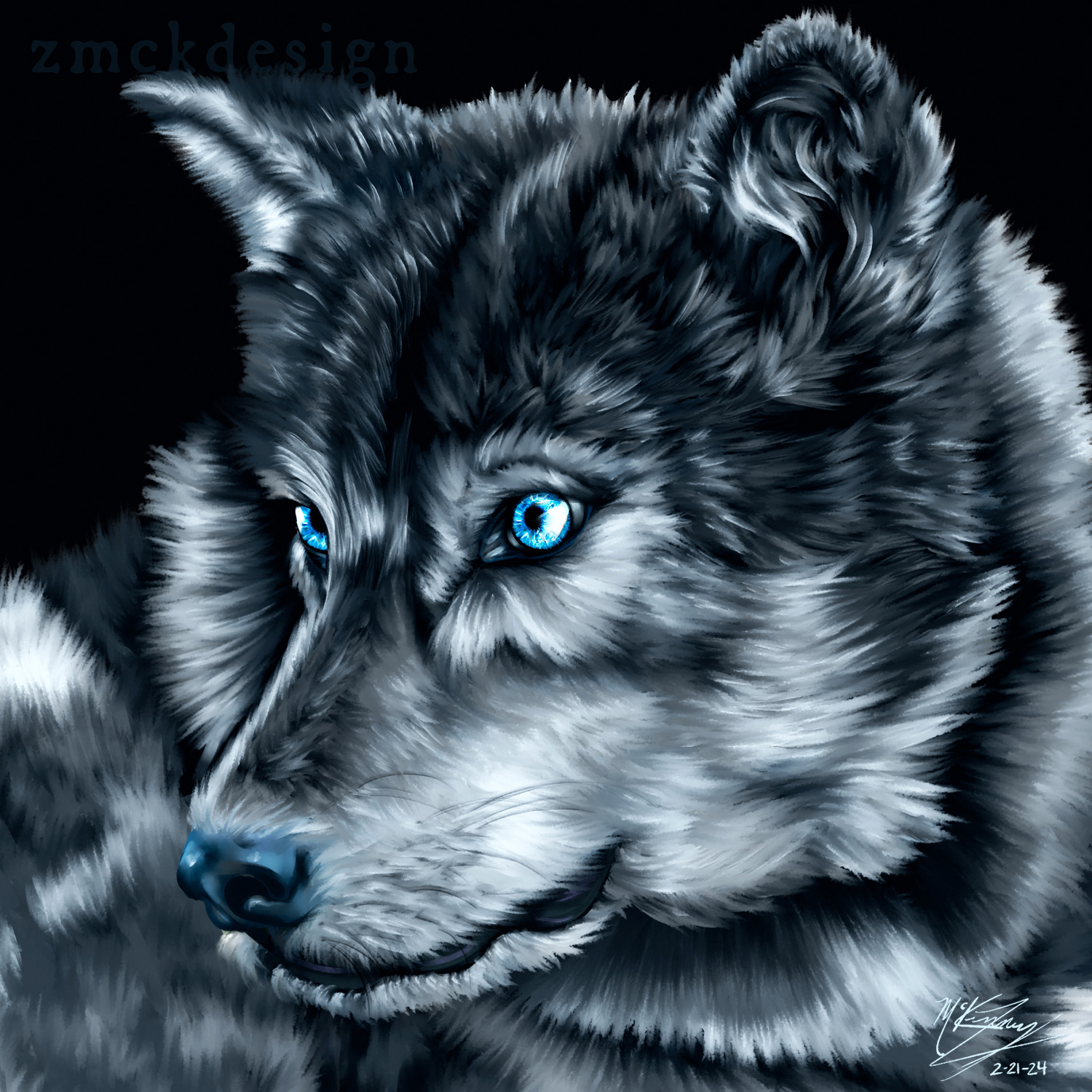Up-Close Wolf Head - 2/21/2024