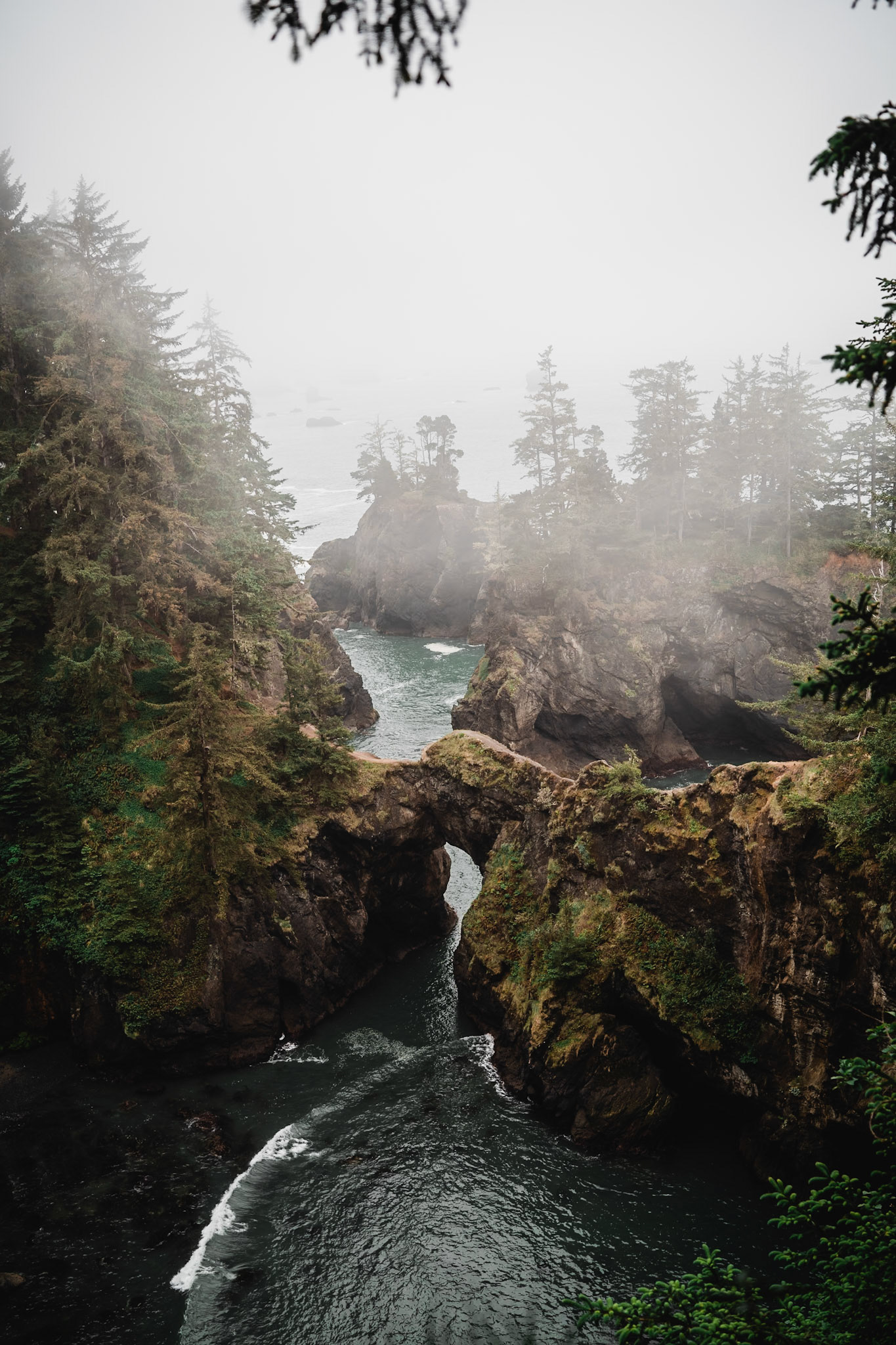 Natural Bridges, Oregon Coast