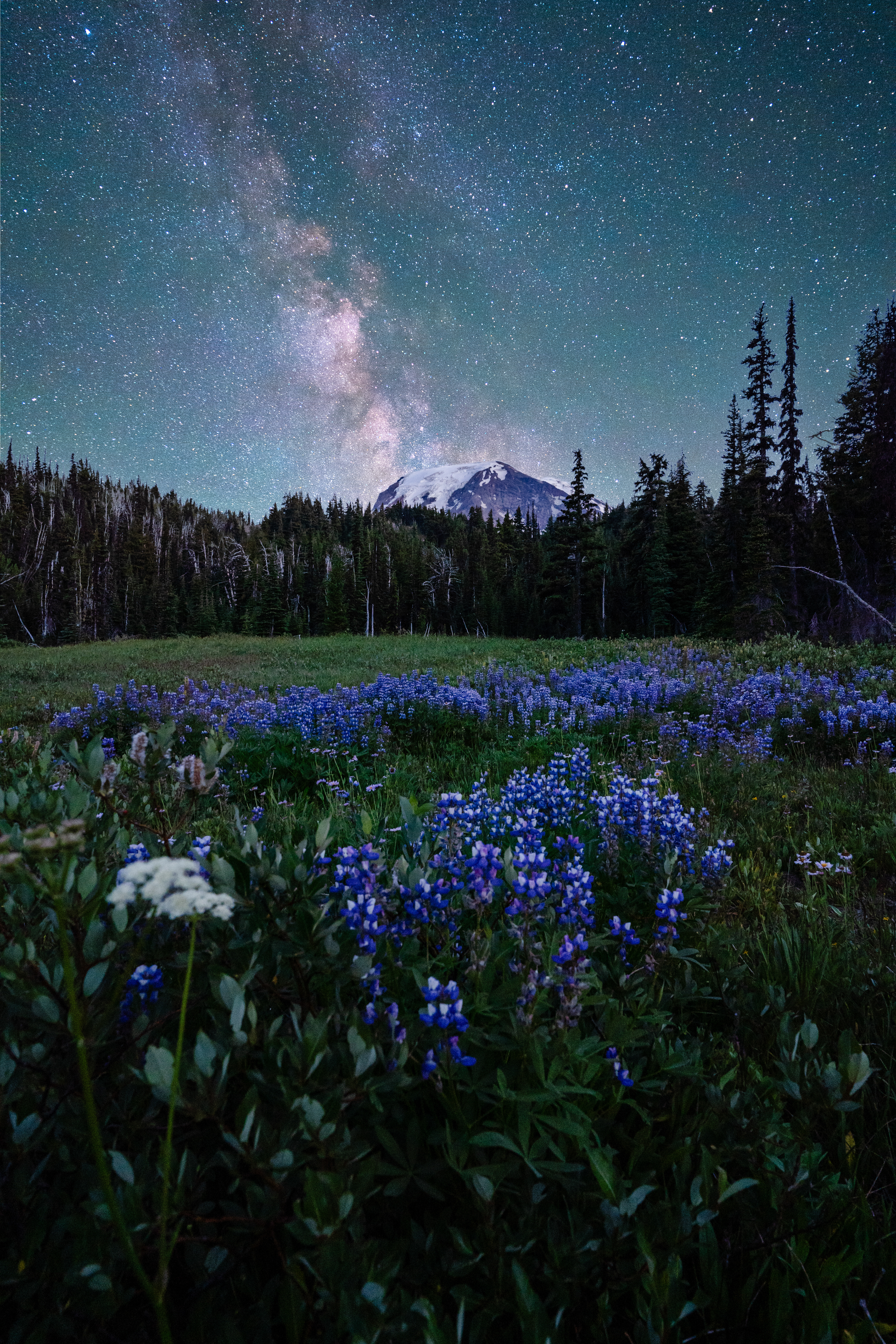 Milky Way over Mt. Adams, WA