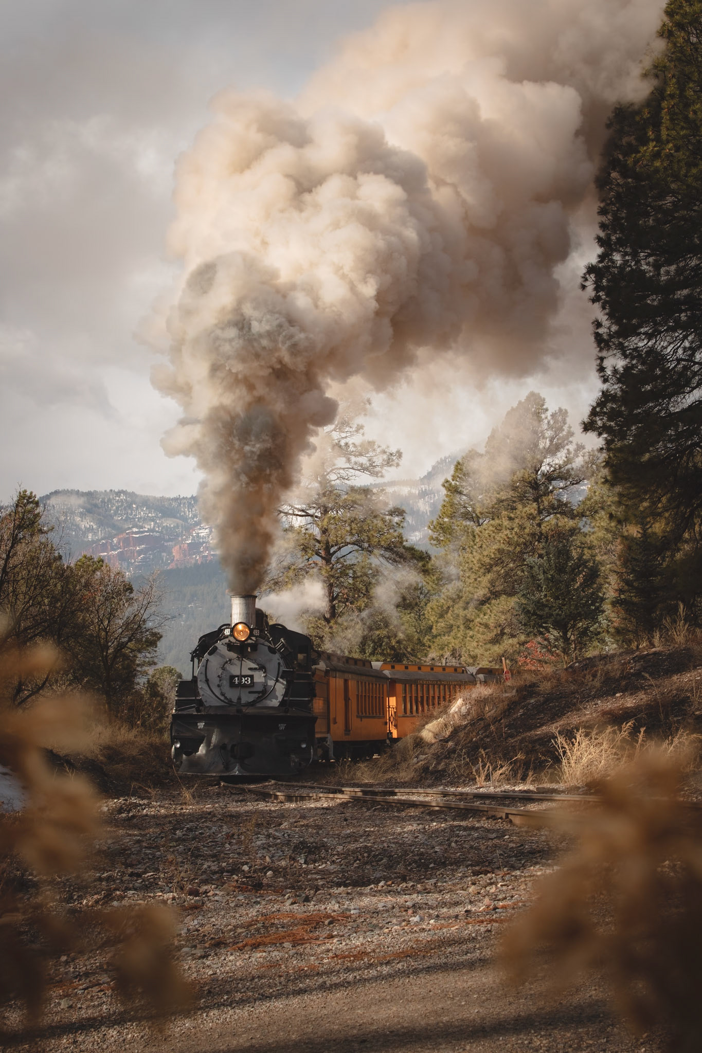 A steam engine winds through the Rocky Mountains