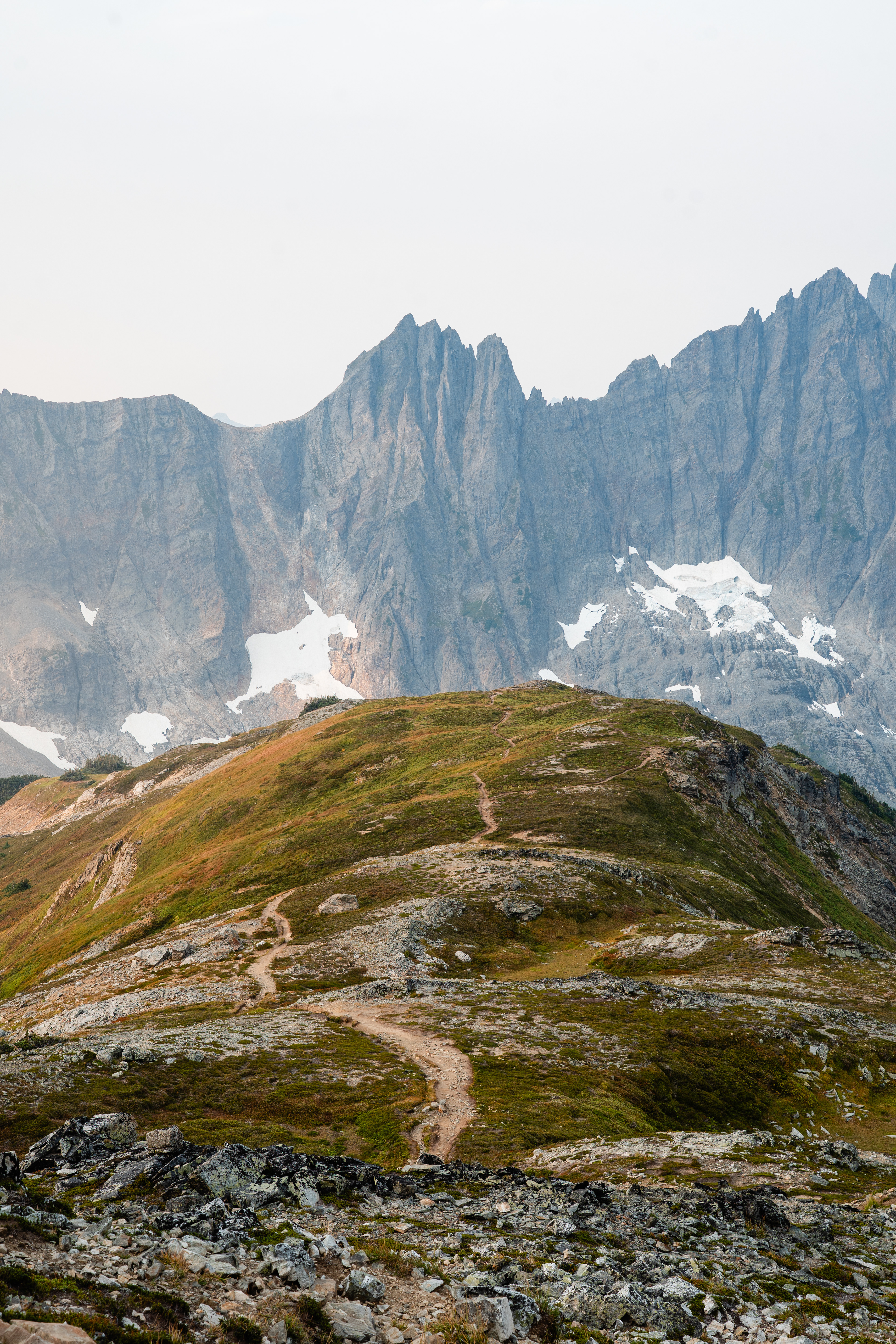 Up in the Alpine in the North Cascades
