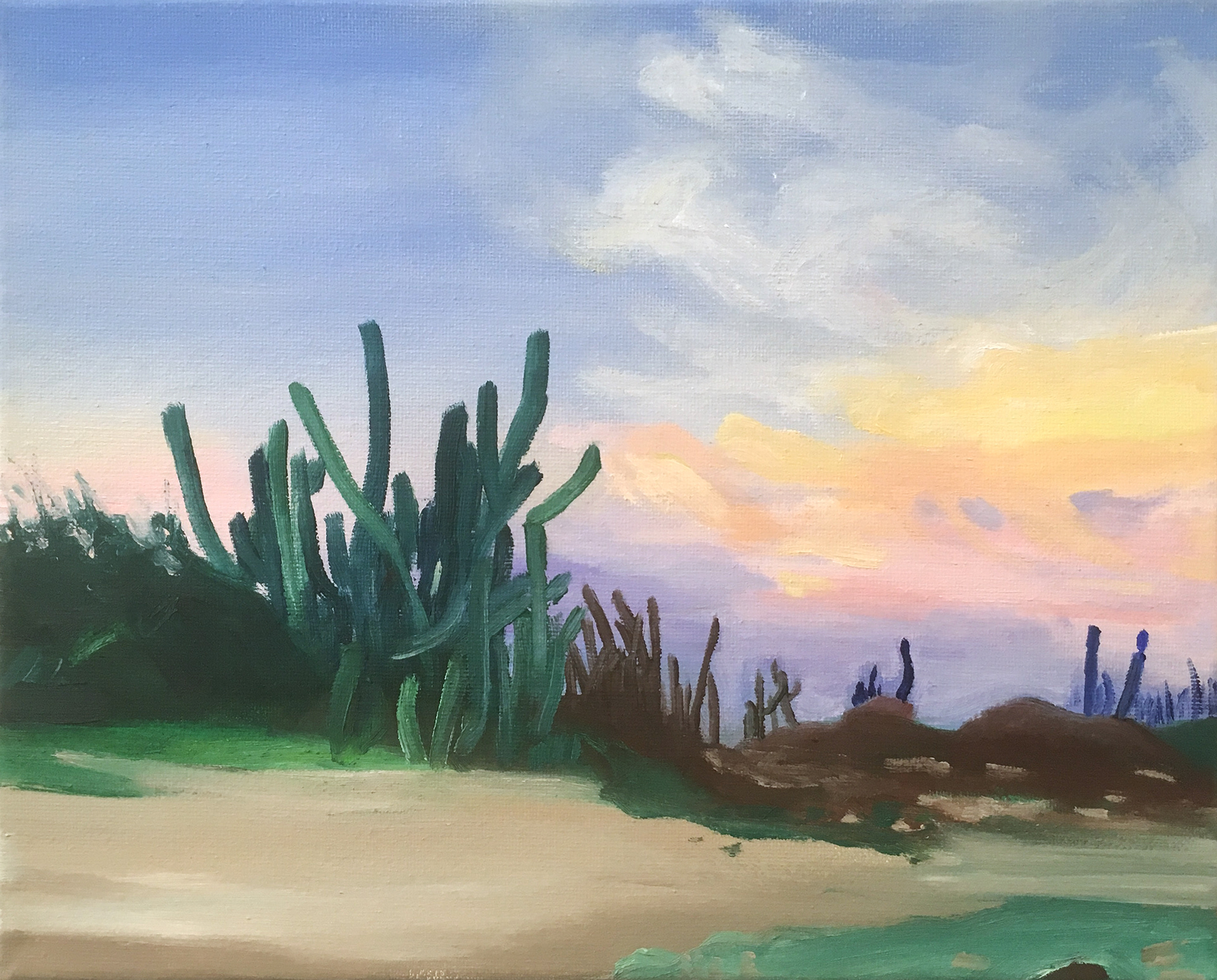 Cacti, oil on canvas, 24 x 30 cm