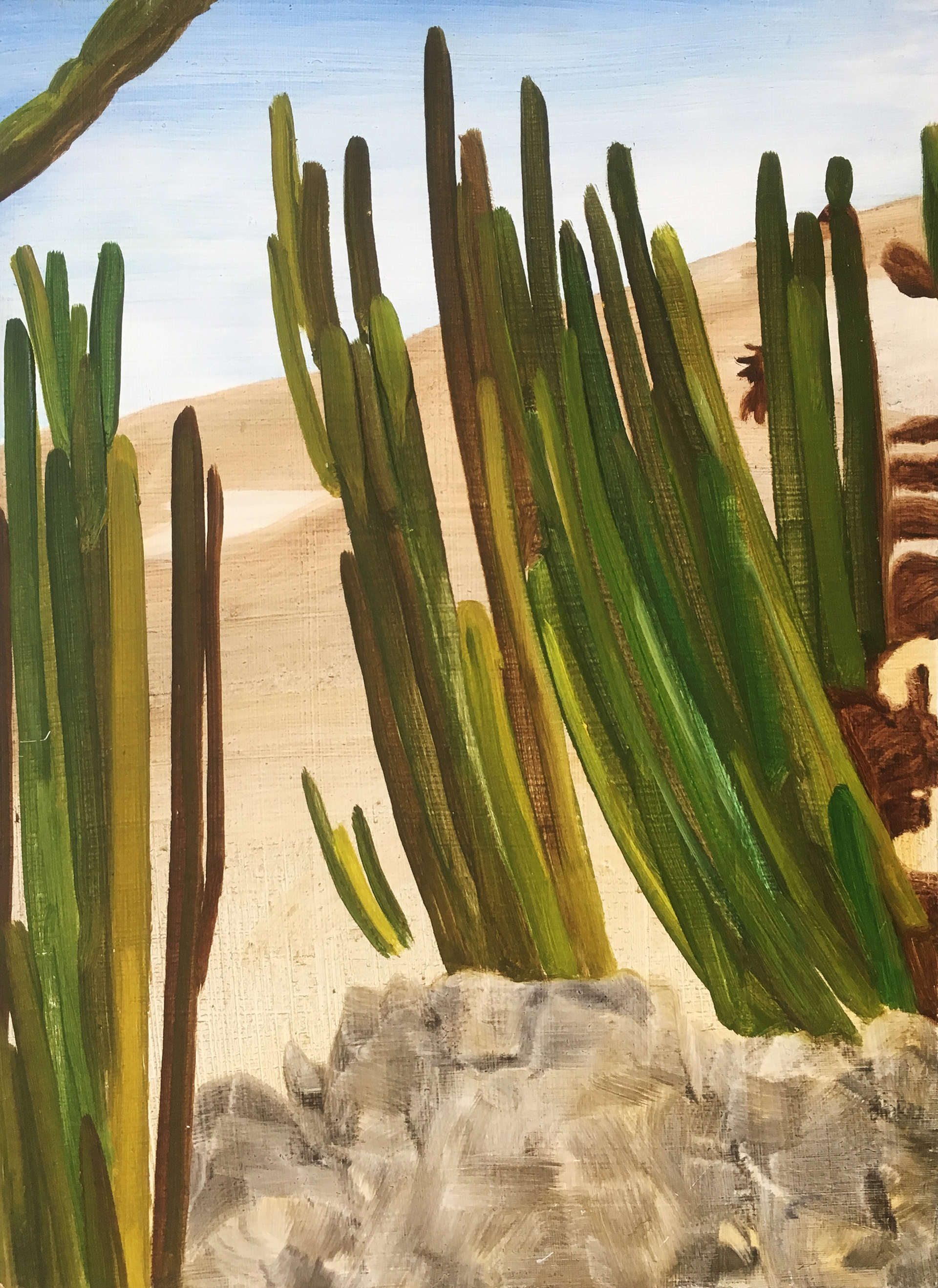 Cactus Woestijn, 35 x 24 cm