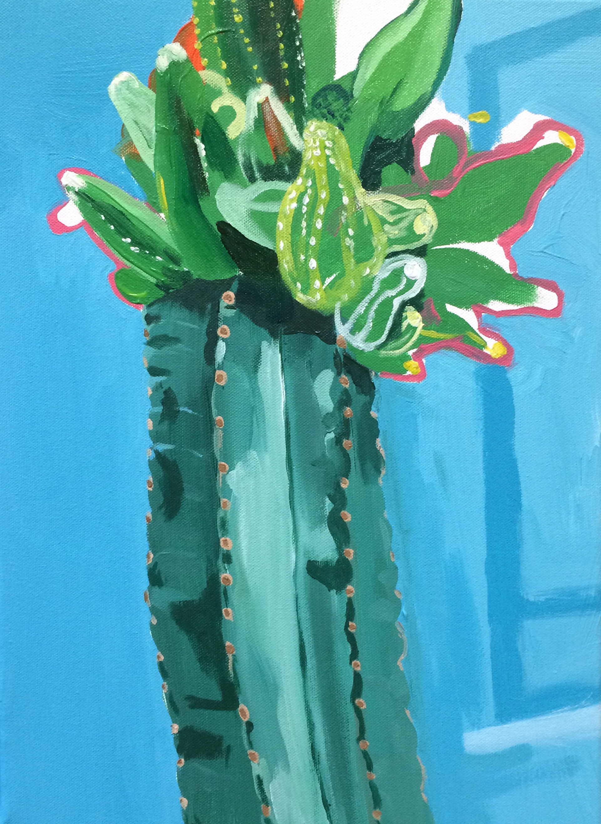 Cactus, oil on canvas, 40 x 40 cm