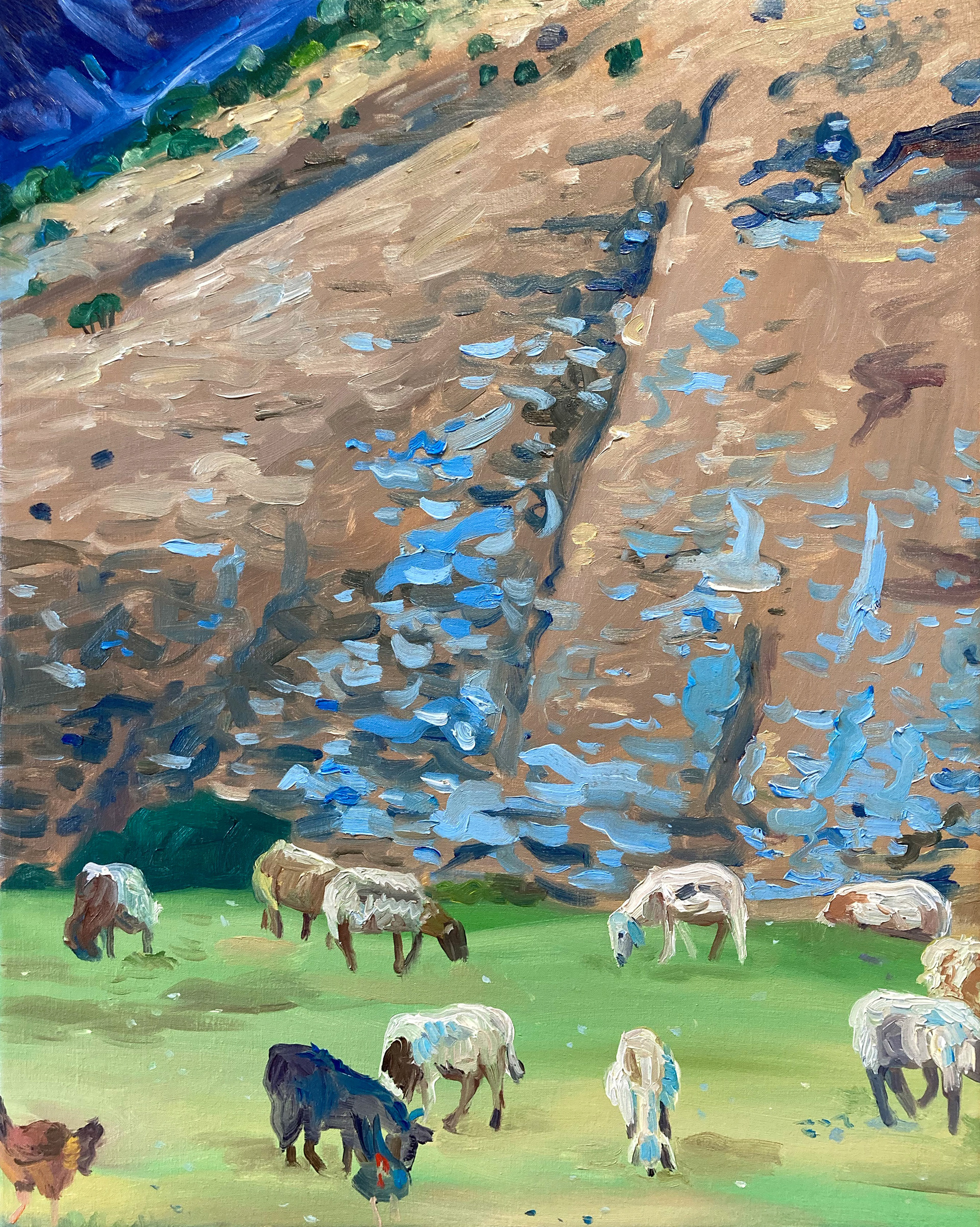 Sheep, oil on canvas, 40 x 50 cm