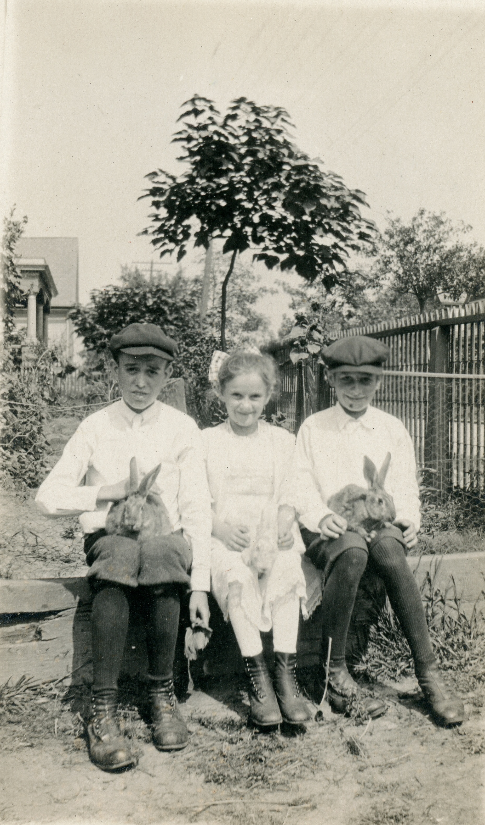The rabbits! My best guess is that's Catherine in the middle, with Peter and Clem