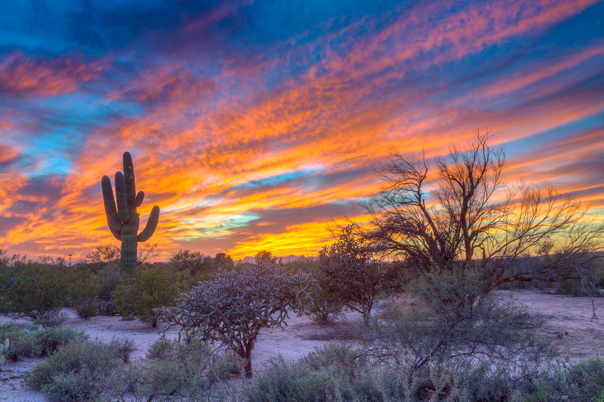 Tucson, Arizona, USA