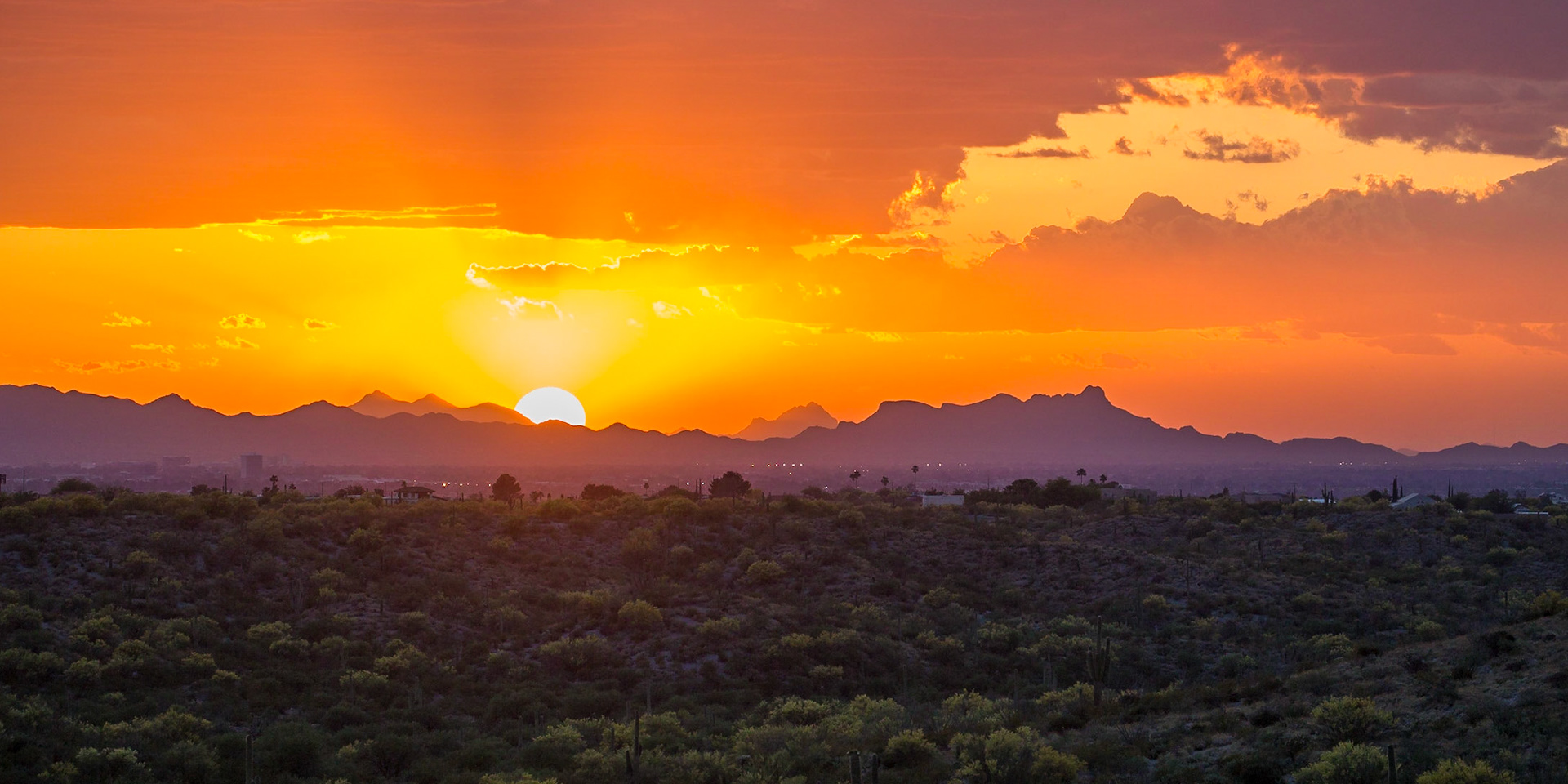 Saguaro National Park, Arizona, USA
