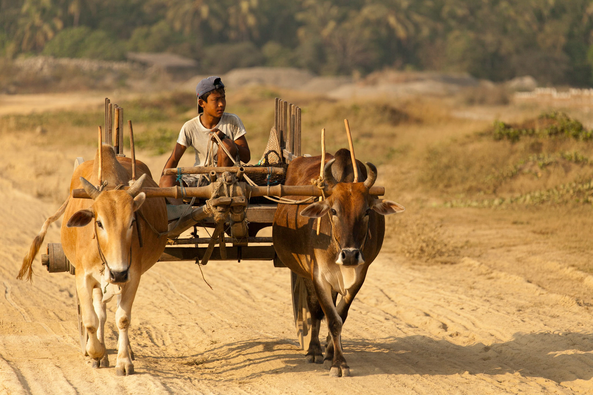 Ngapali Beach, Myanmar