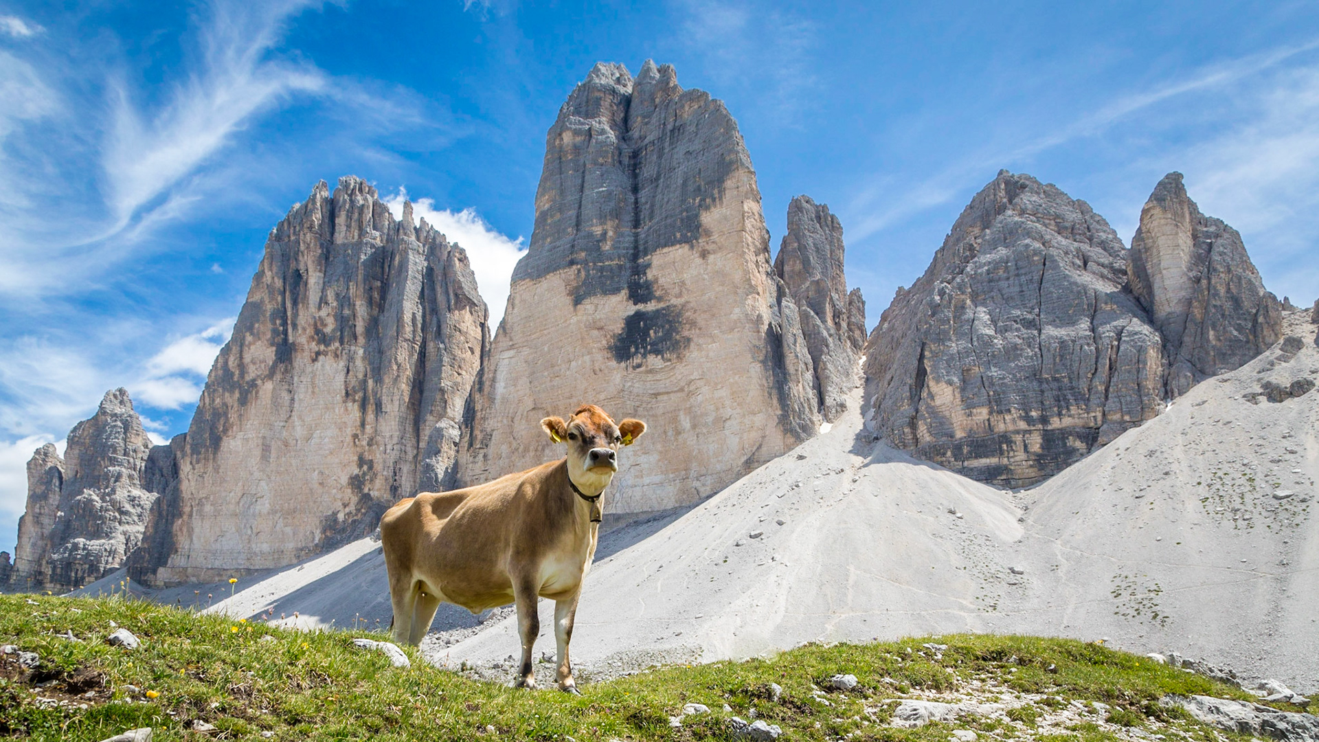 Three Peaks, Tre Cime di Lavaredo, Dolomite Alps, South Tyrol, Italy