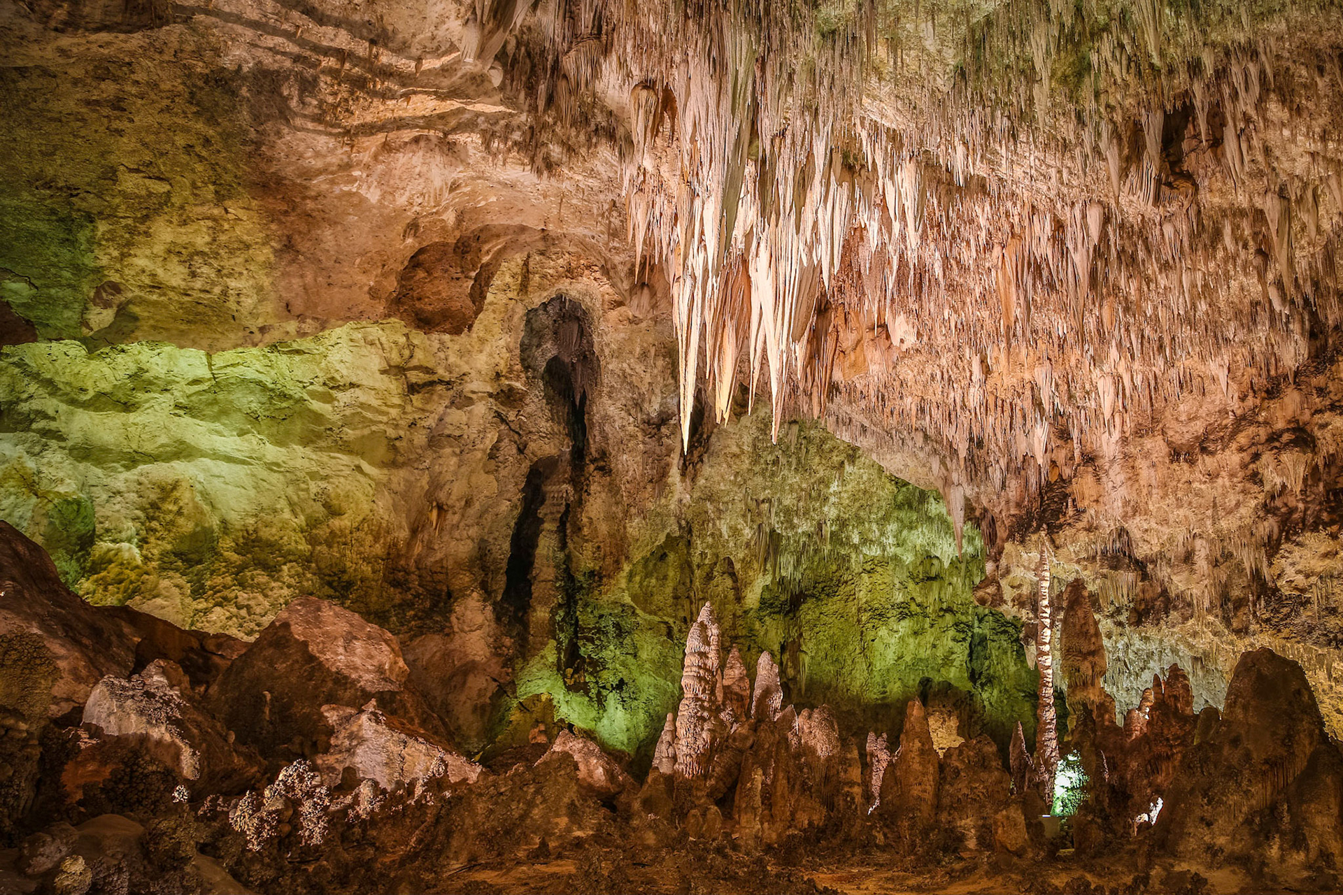 Carlsbad Caverns National Park, New Mexico, USA