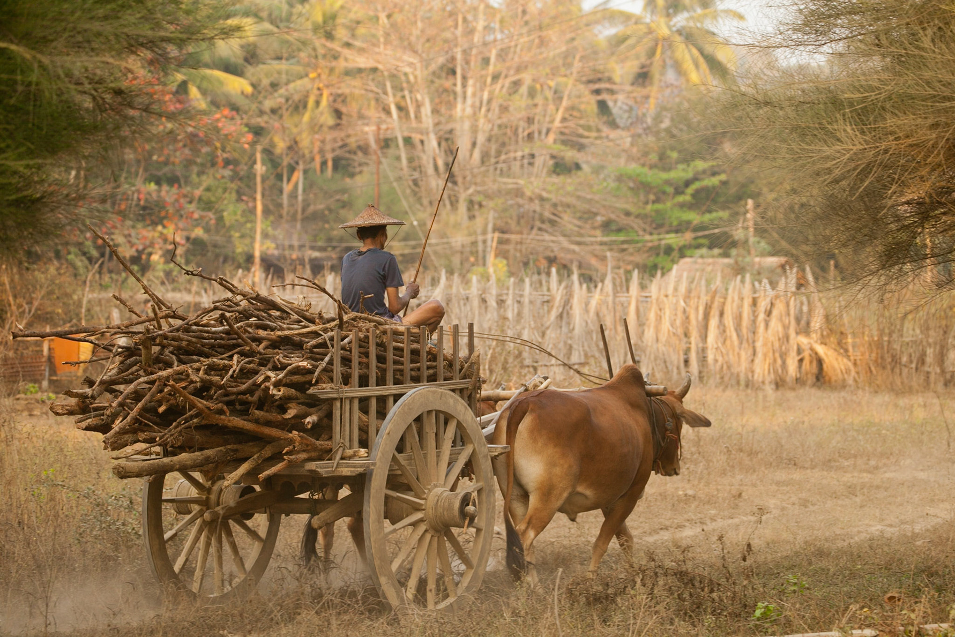 Ngapali Beach, Myanmar