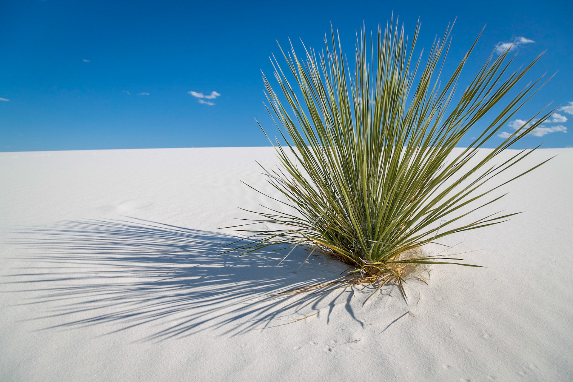 White Sands National Monument, New Mexico, USA