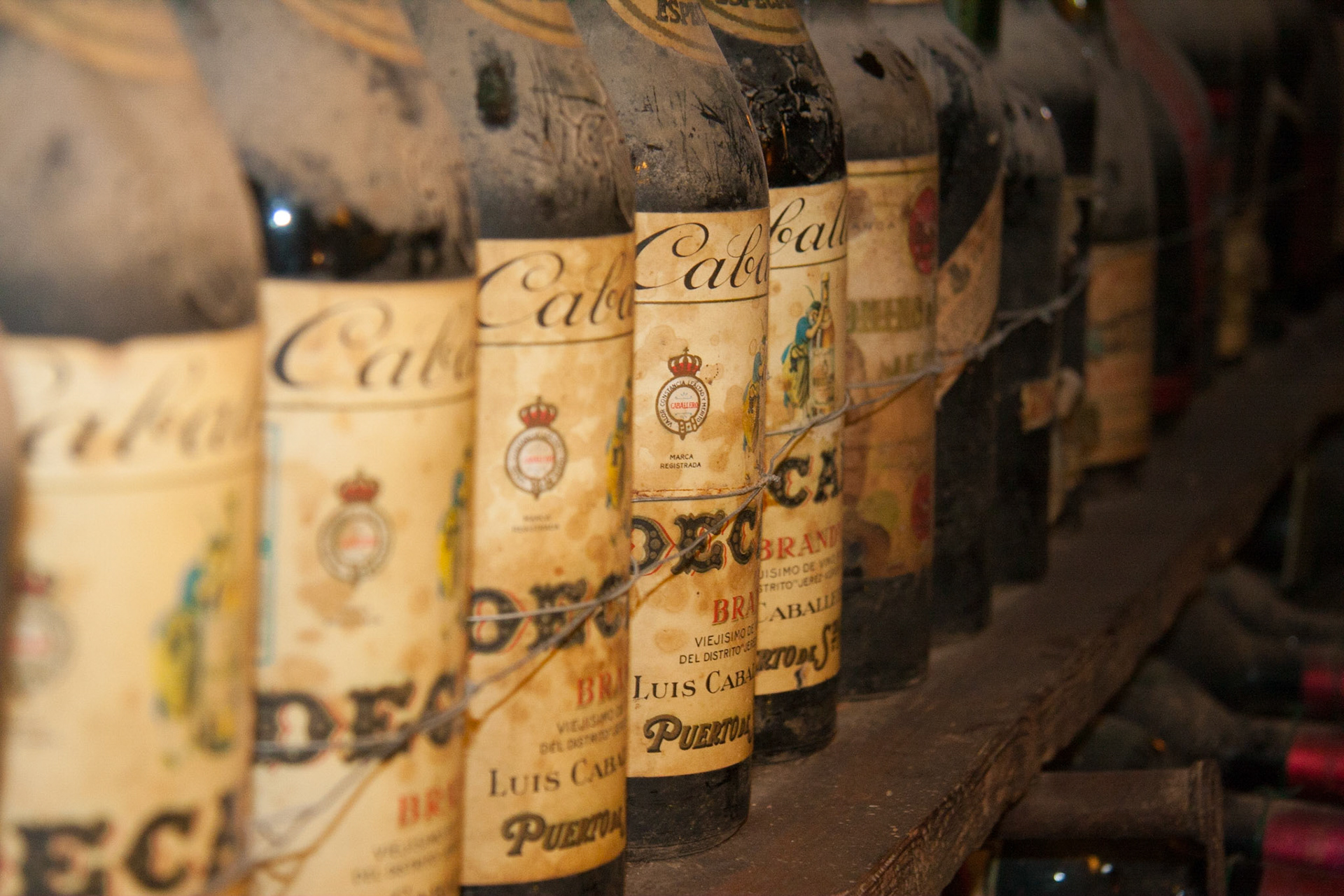 Wine Cellar, Tuscany, Italy