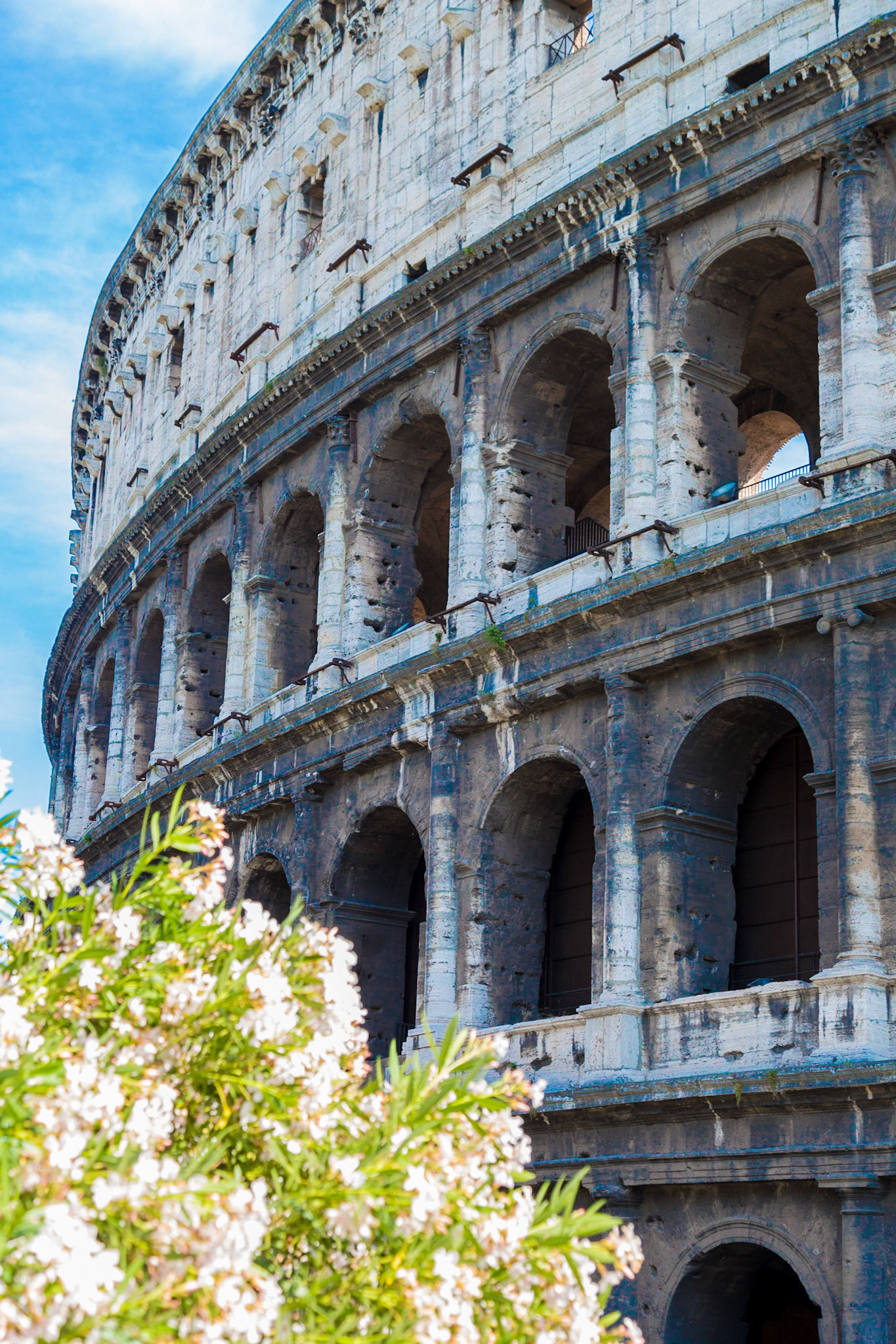 Colosseum, Rome, Italy