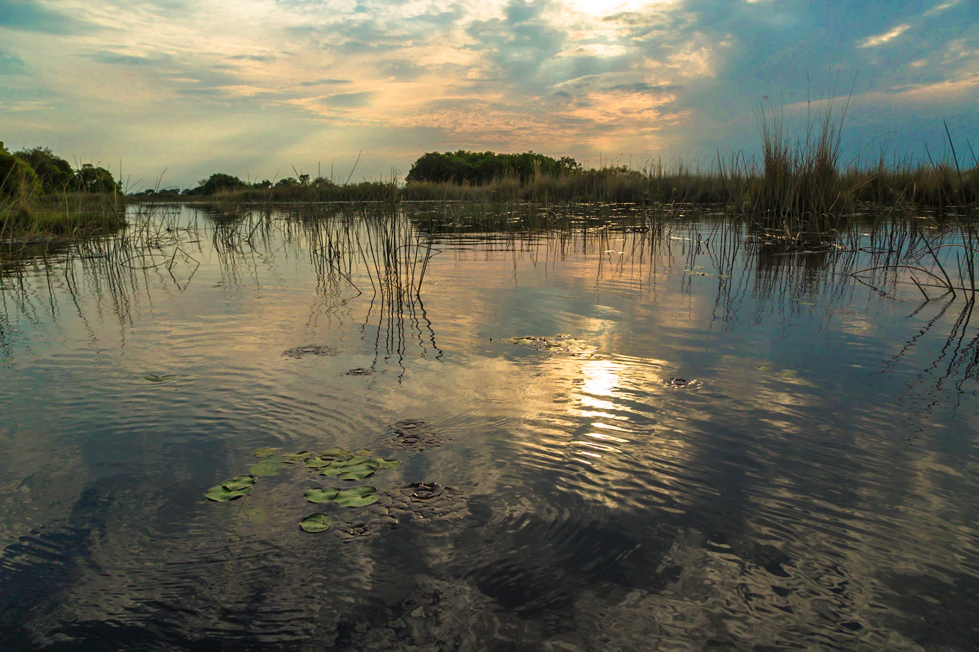 Okavango Delta, Botswana
