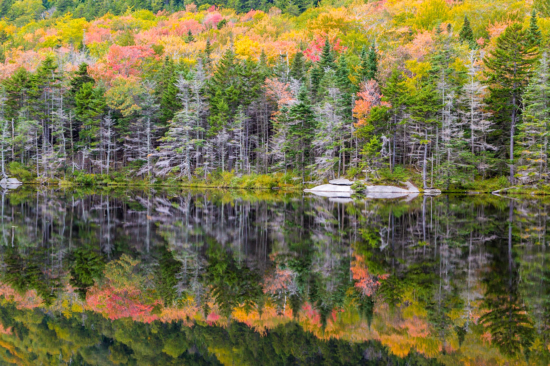 Indian Summer, Vermont, USA
