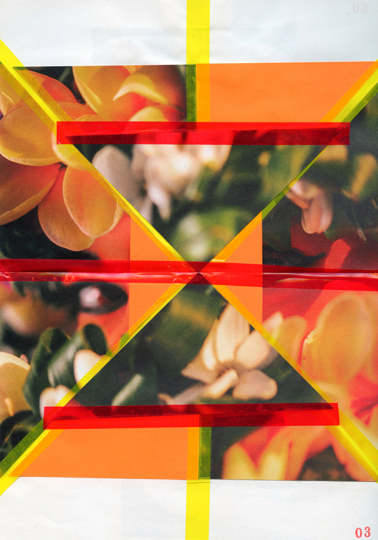 03 Triangle