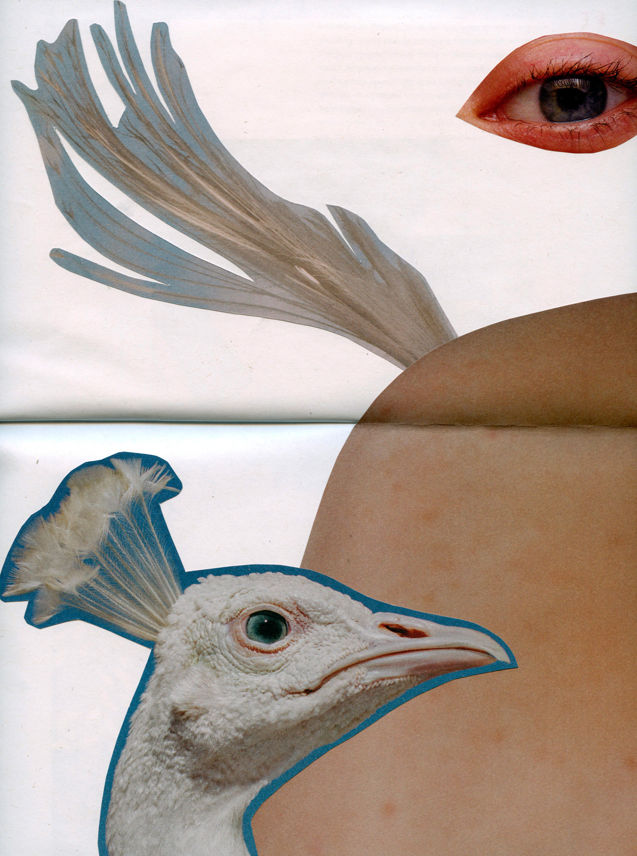 15 Feathers