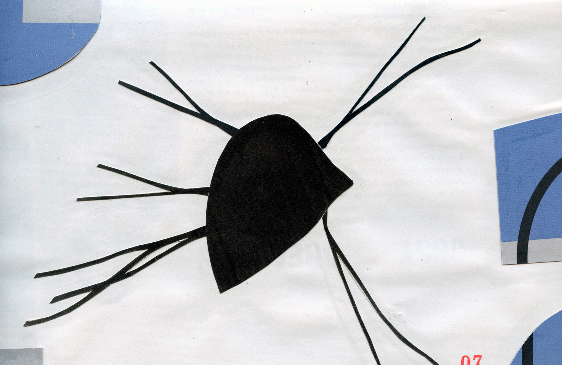 07 Bug