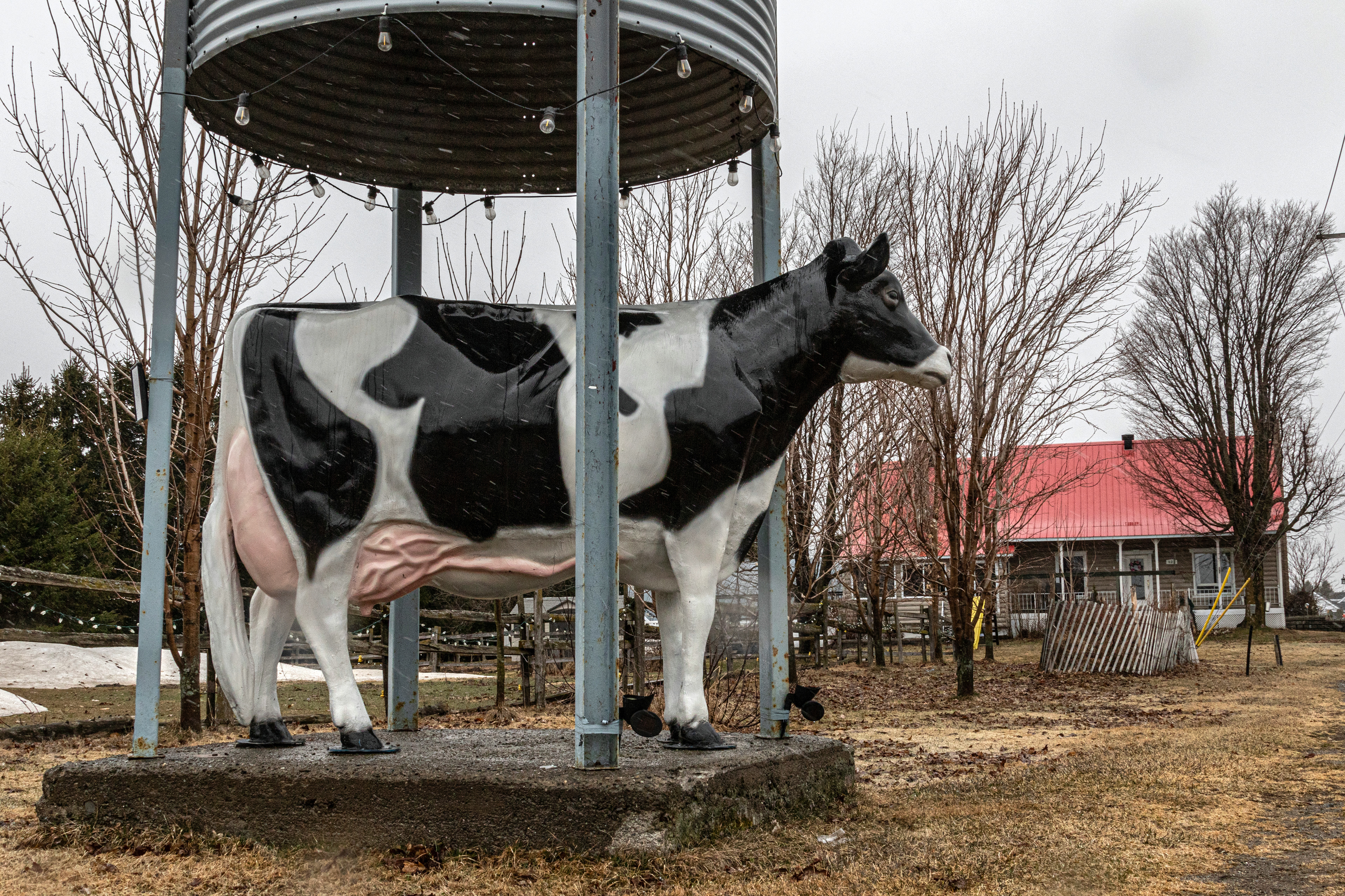 Beauce region of Quebec that trades heavily with the USA