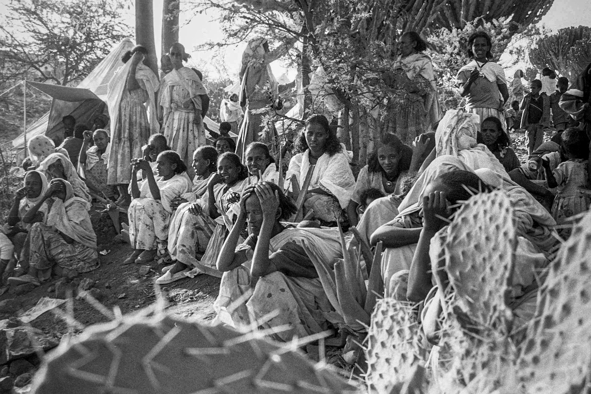 Displaced by the border war, Eritrea, October, 2000